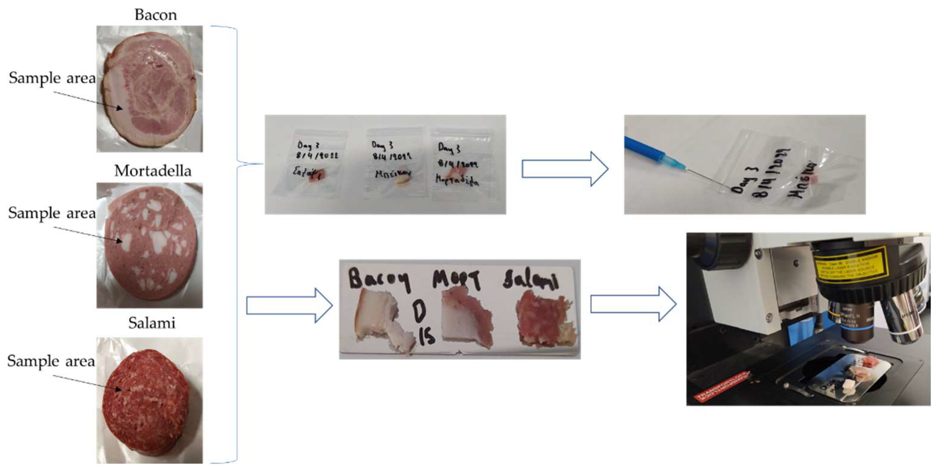 https://www.mdpi.com/microplastics/microplastics-01-00031/article_deploy/html/images/microplastics-01-00031-g001.png