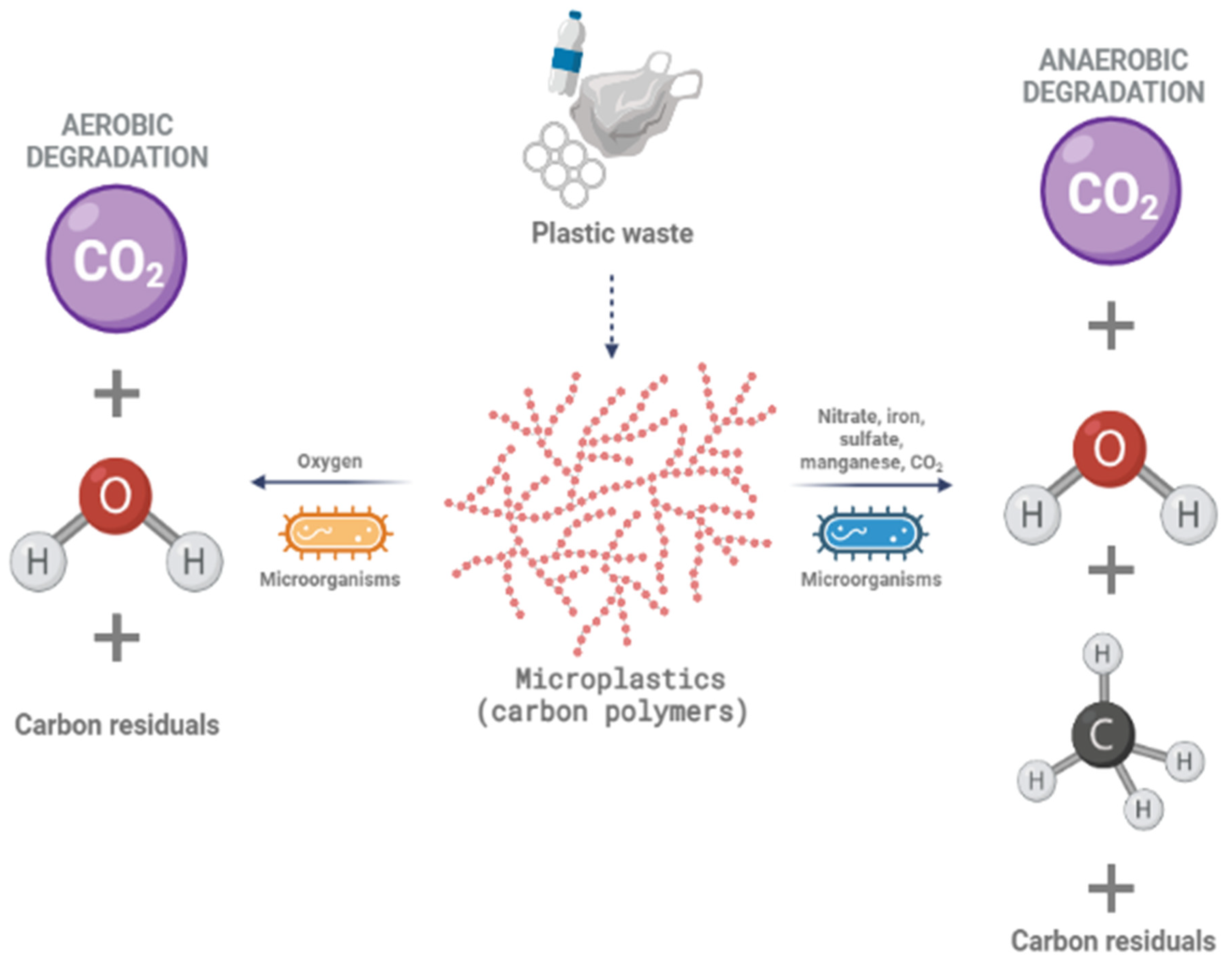 Microplastics | Free Full-Text | Microplastics in Freshwaters