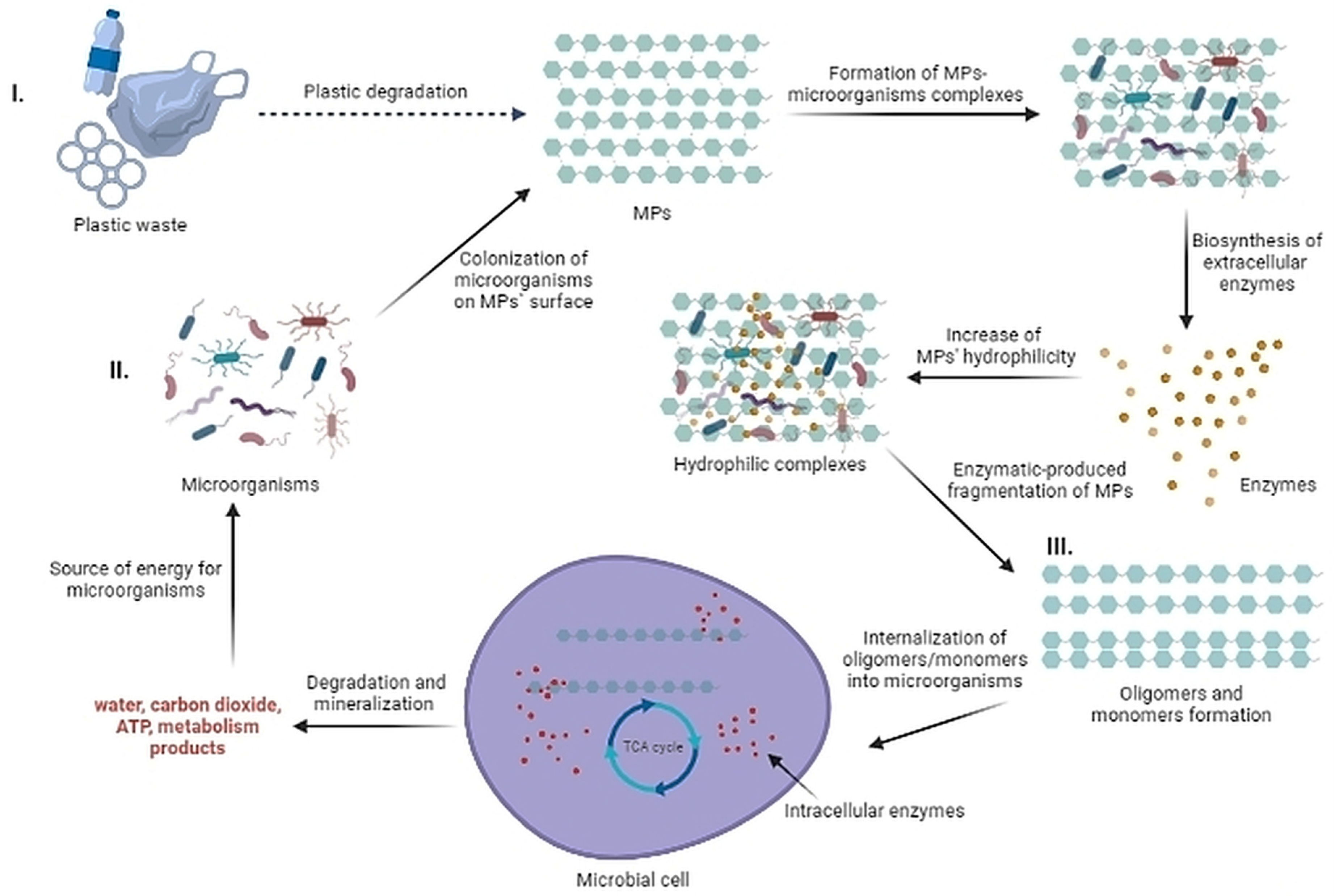 Microplastics 02 00003 g003