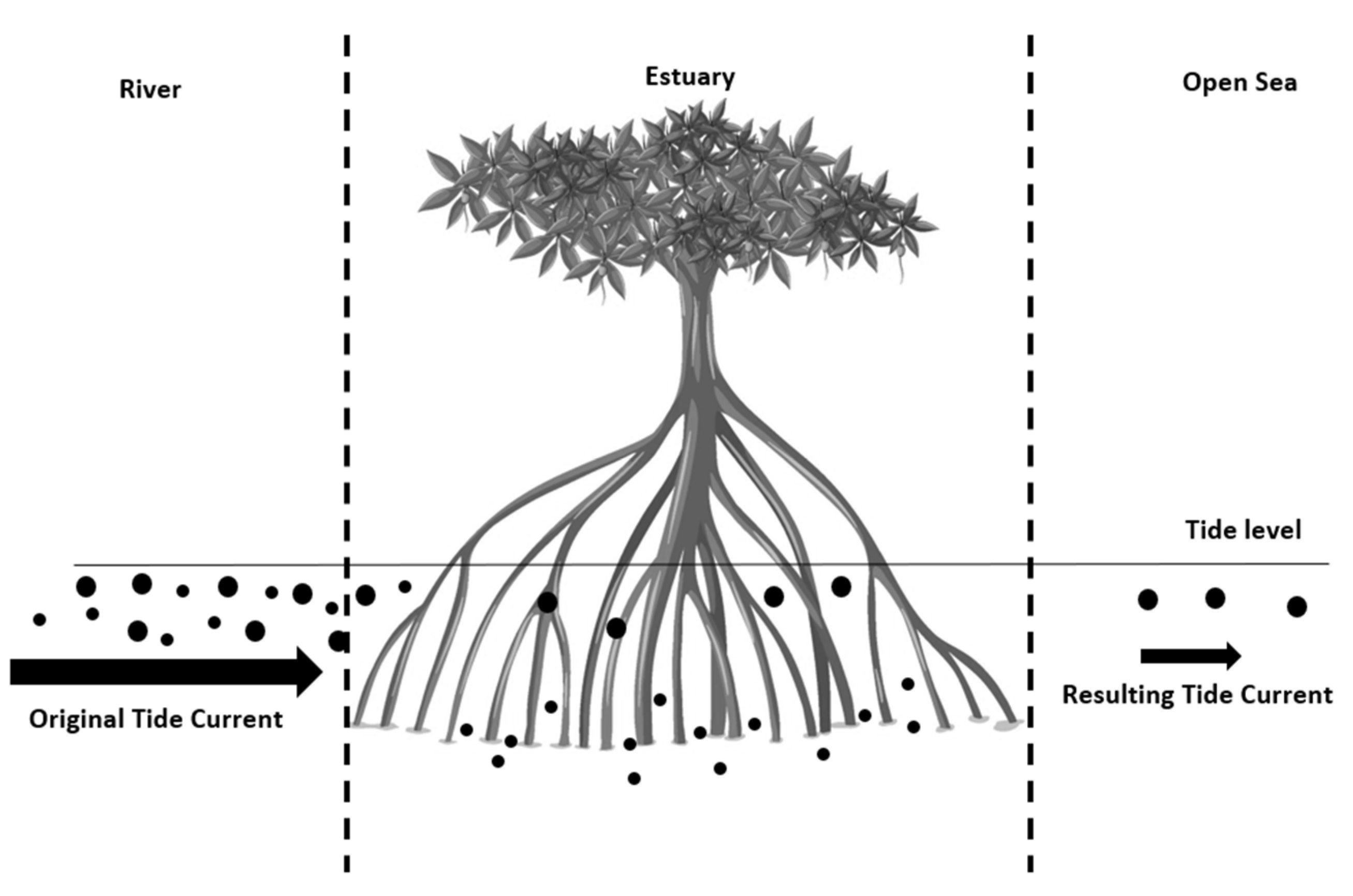 Microplastics 02 00005 g006 Microplastics 02 00005 g006