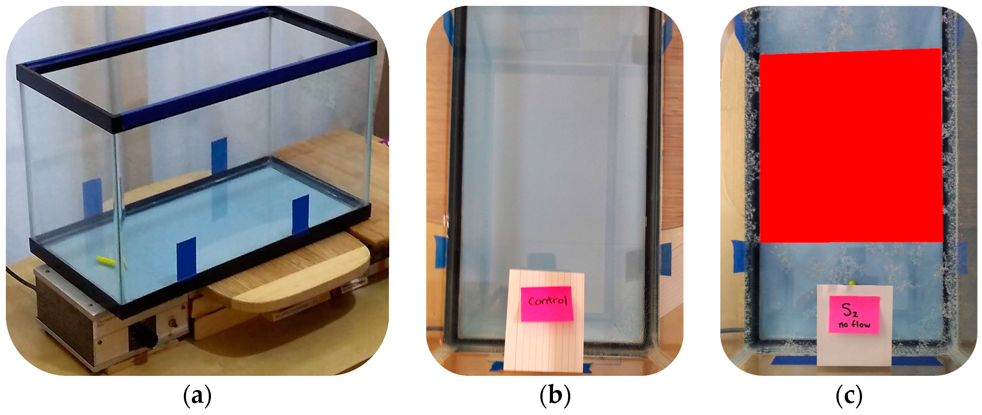 Microplastics 02 00022 g001 Microplastics 02 00022 g001