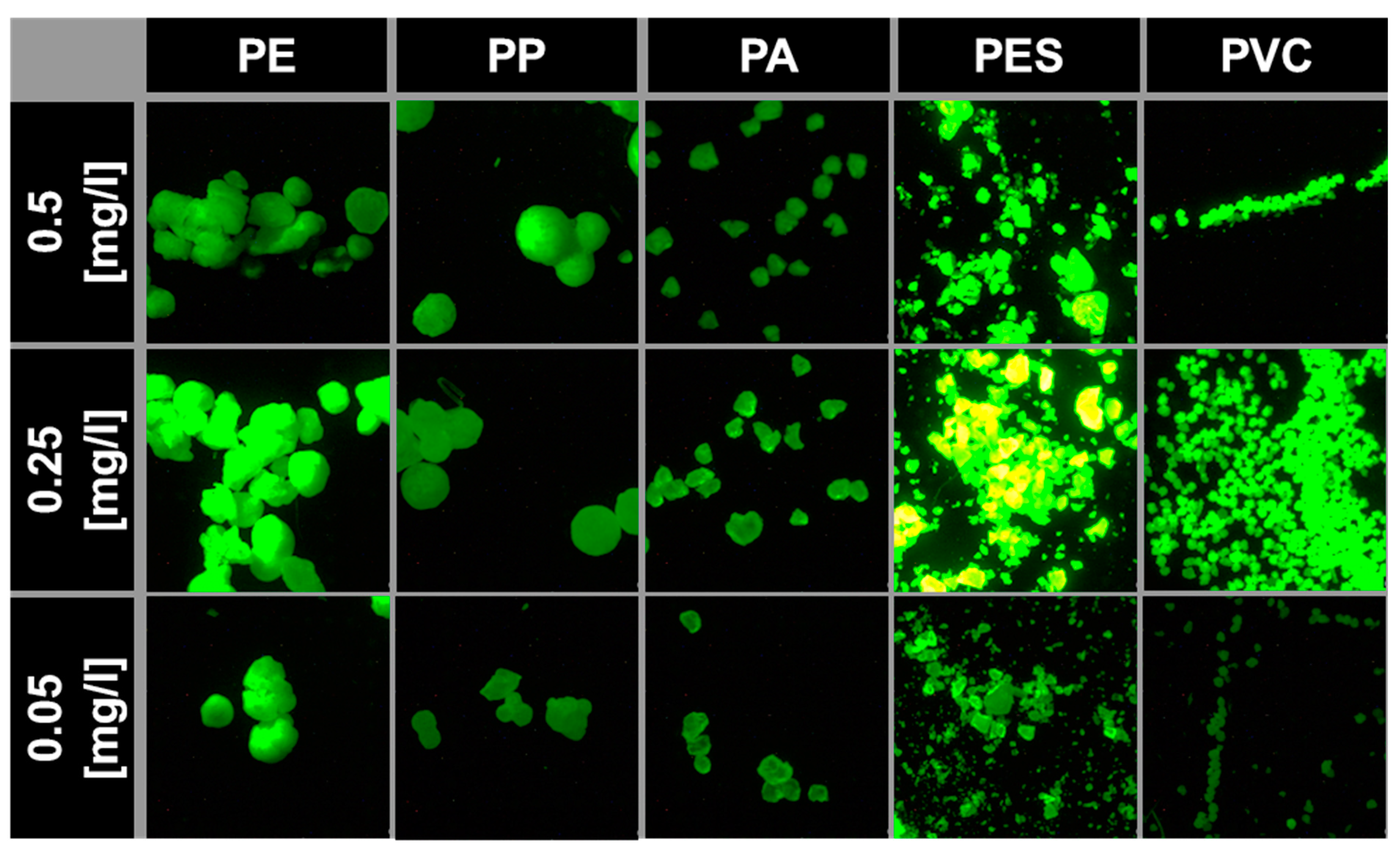 Microplastics 02 00026 g004