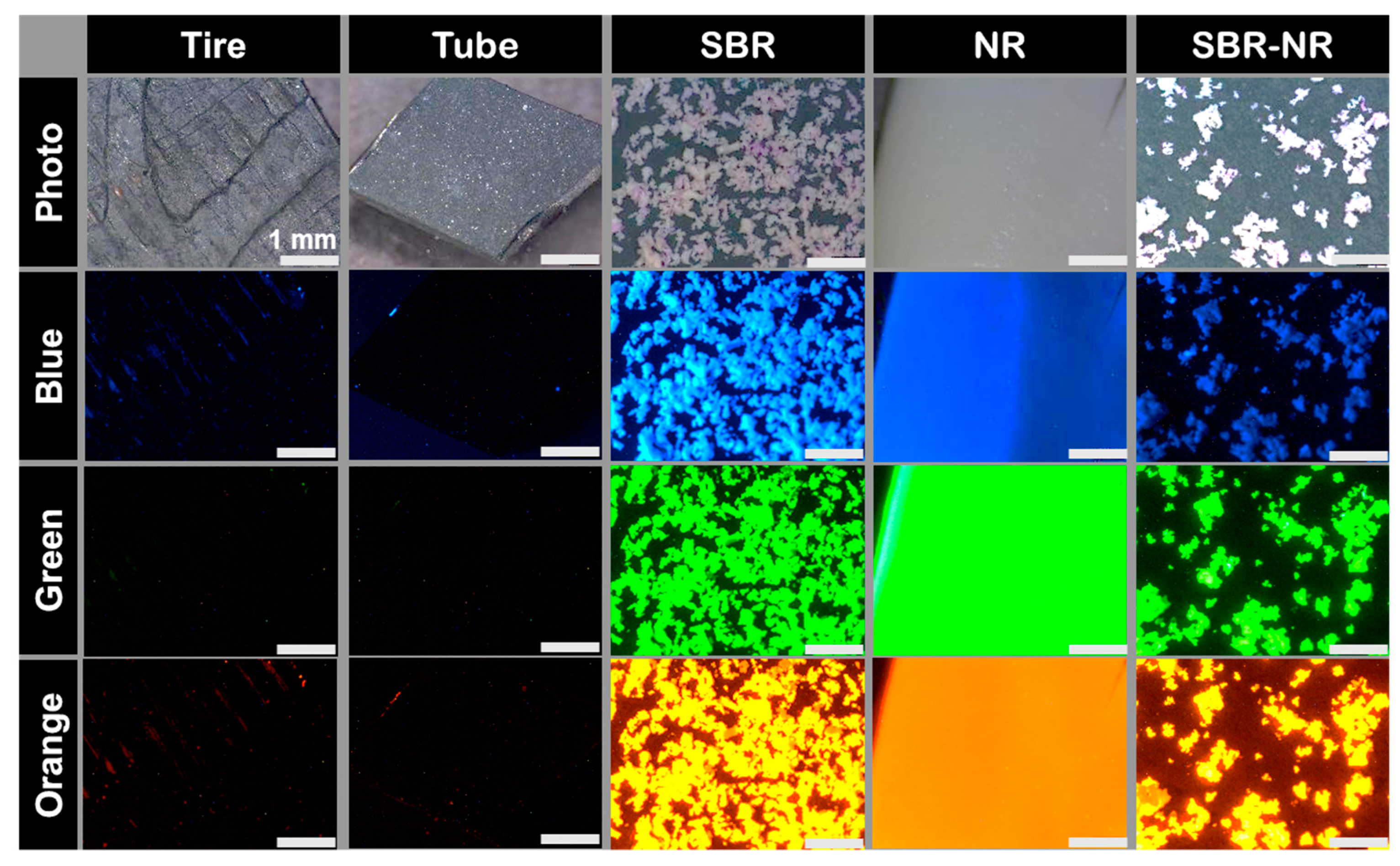 Microplastics 02 00026 g006