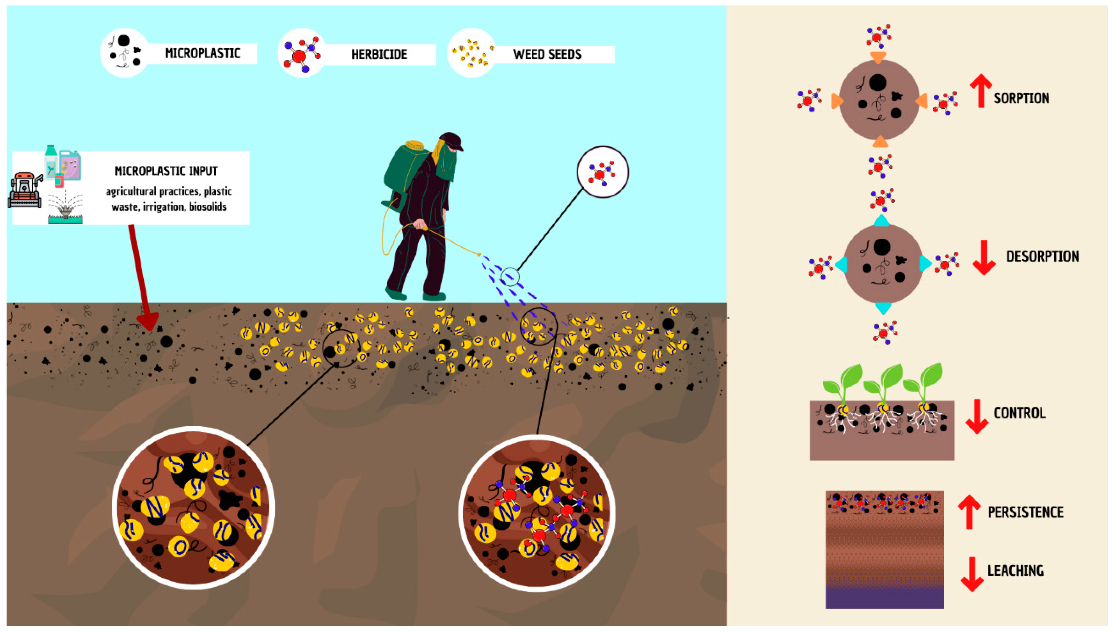 Microplastics 03 00048 g001