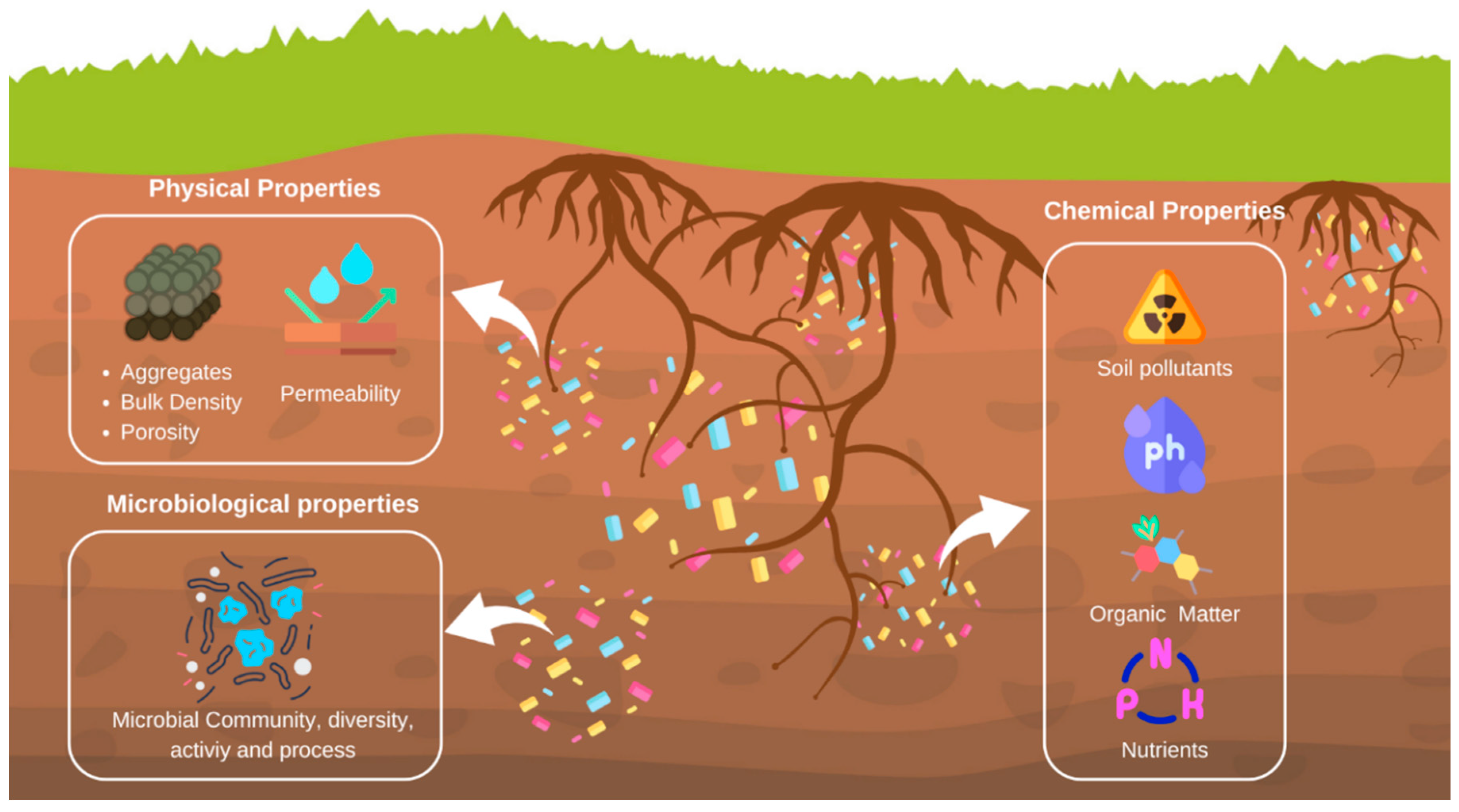 Microplastics 03 00048 g006