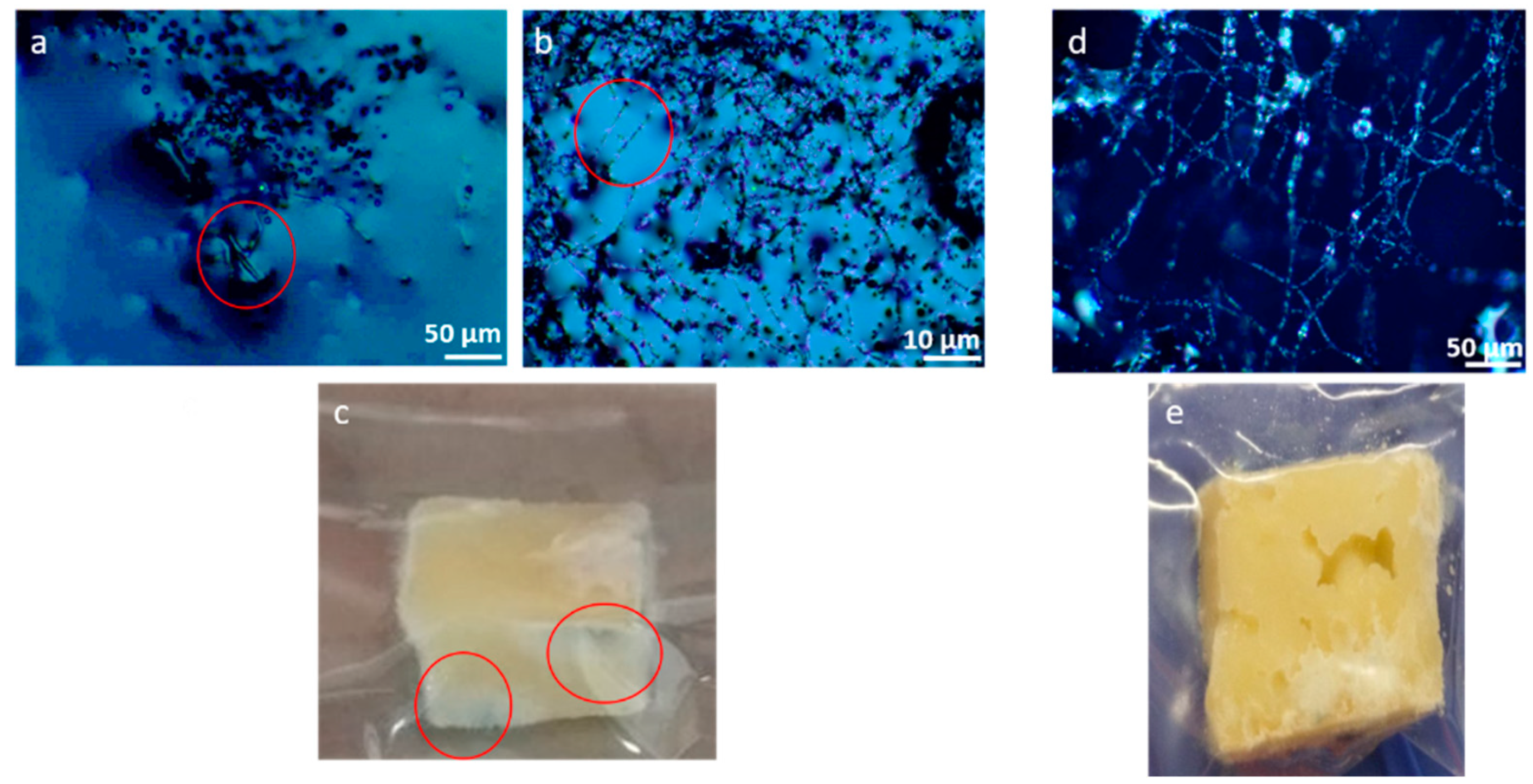 Microplastics 04 00017 g004