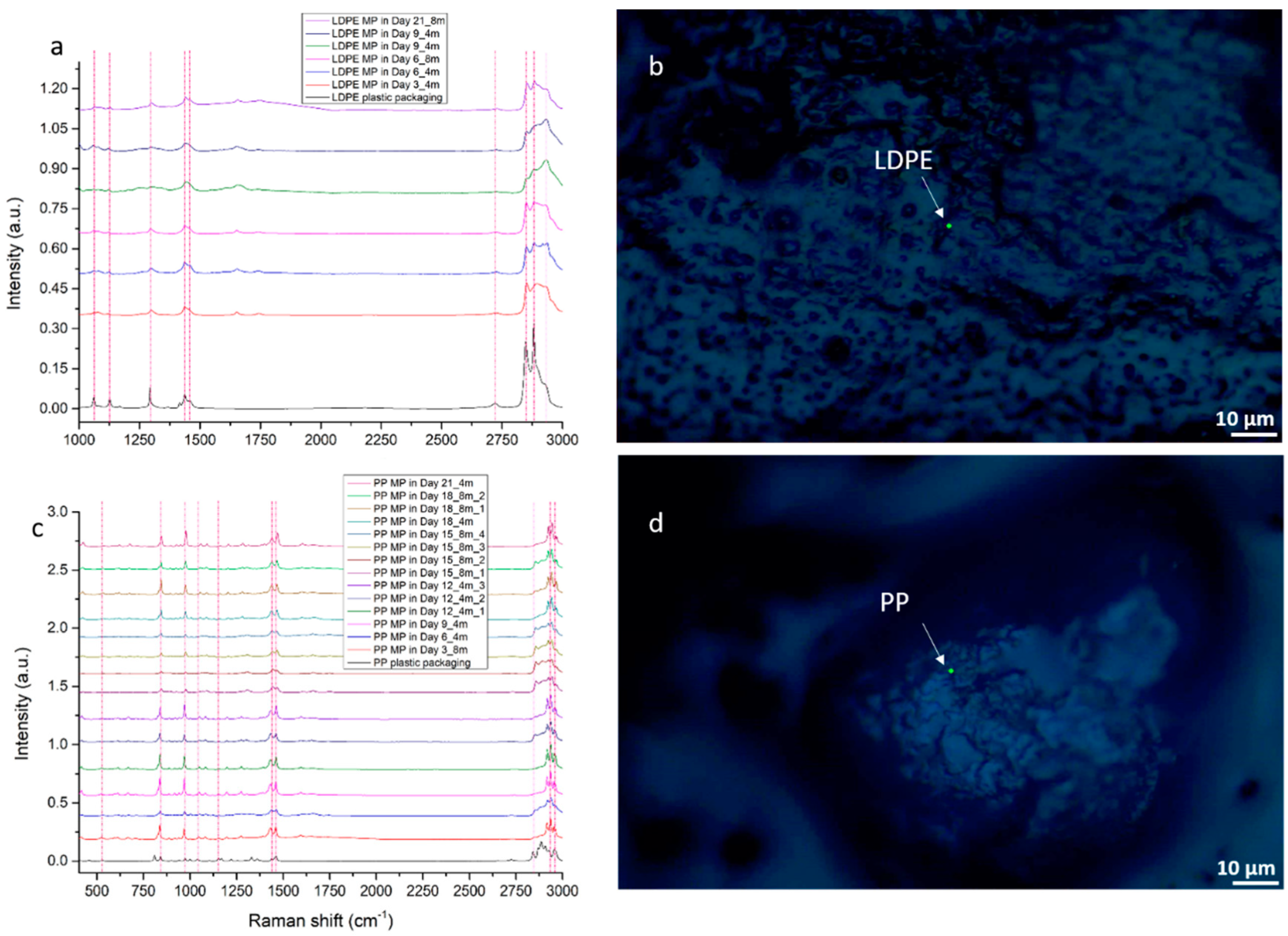 Microplastics 04 00017 g007