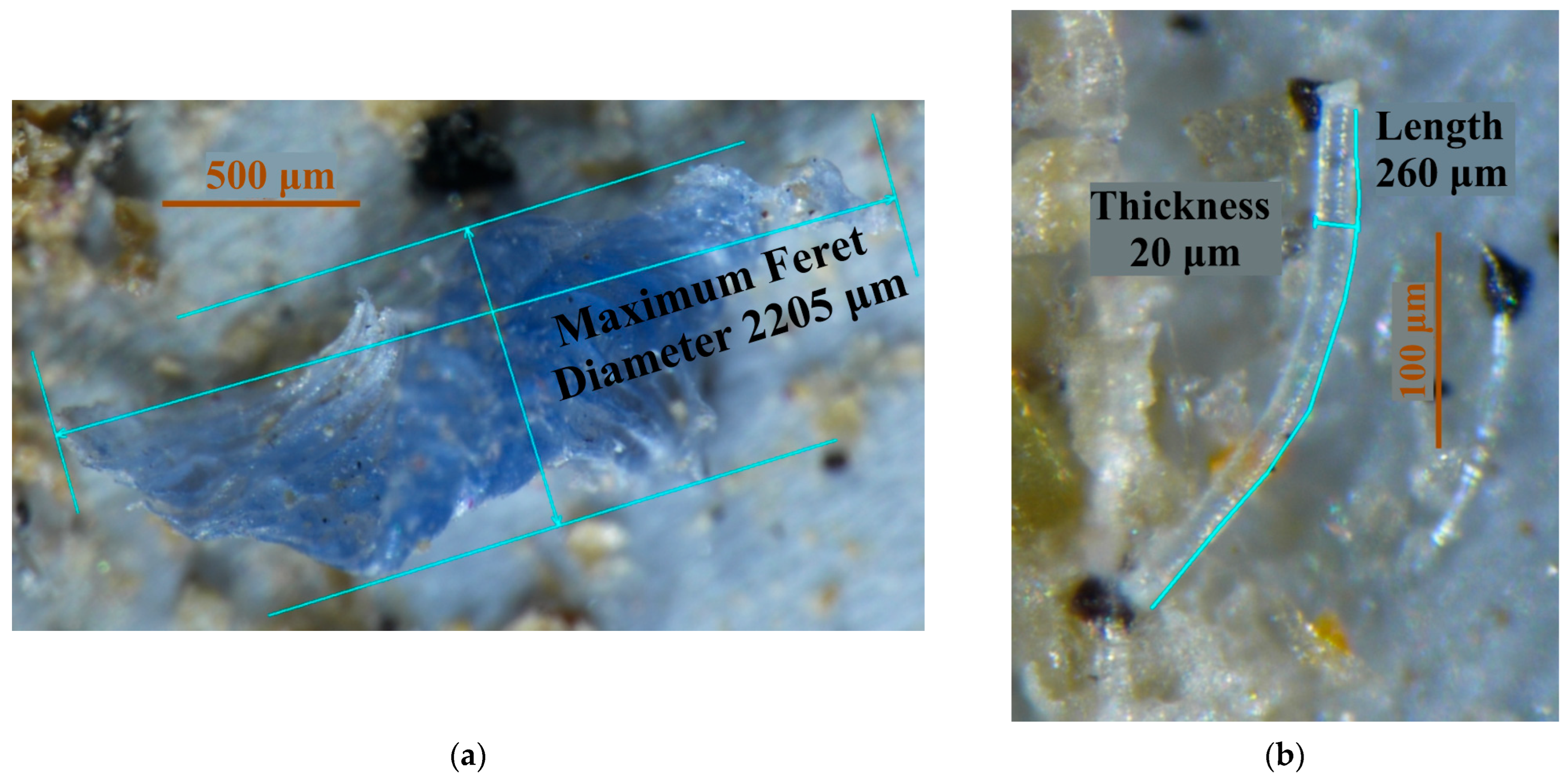 Microplastics 04 00055 g002 Microplastics 04 00055 g002