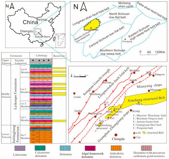 Minerals | Free Full-Text | Origins and Geochemistry of Dolomites and Their  Dissolution in the Middle Triassic Leikoupo Formation, Western Sichuan  Basin, China