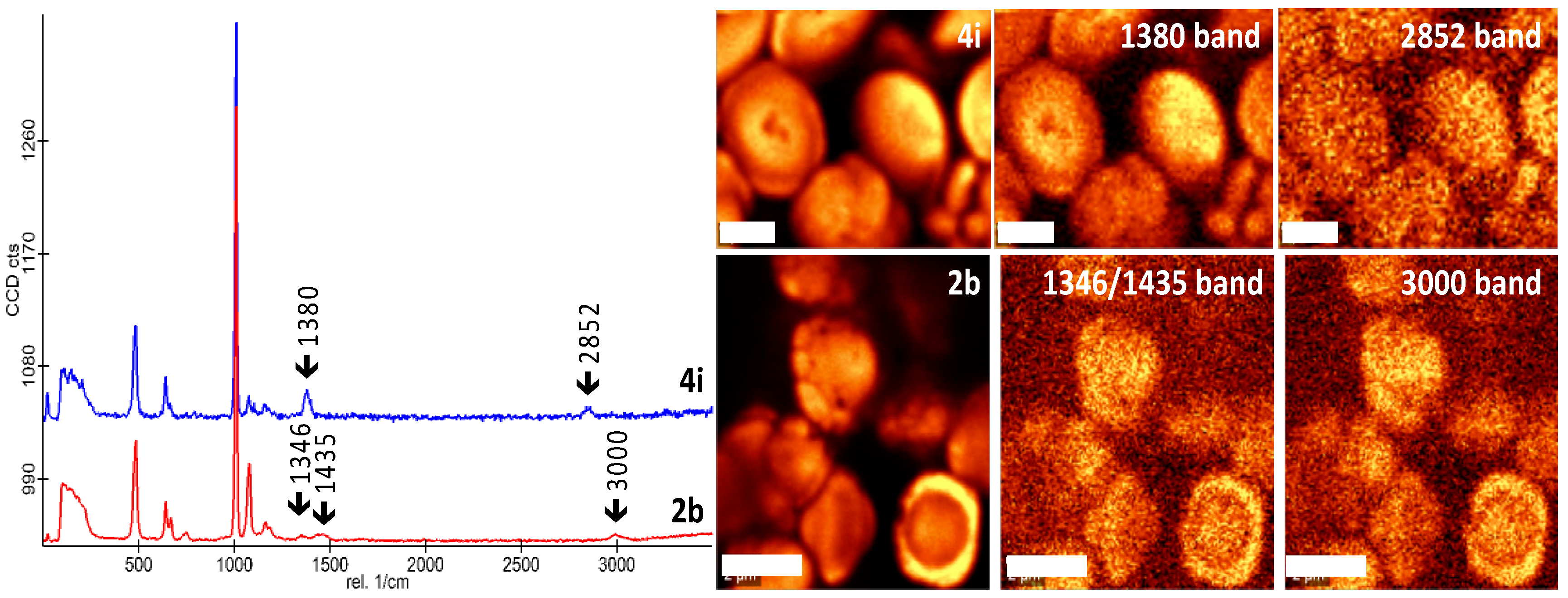 Minerals 08 00480 g004
