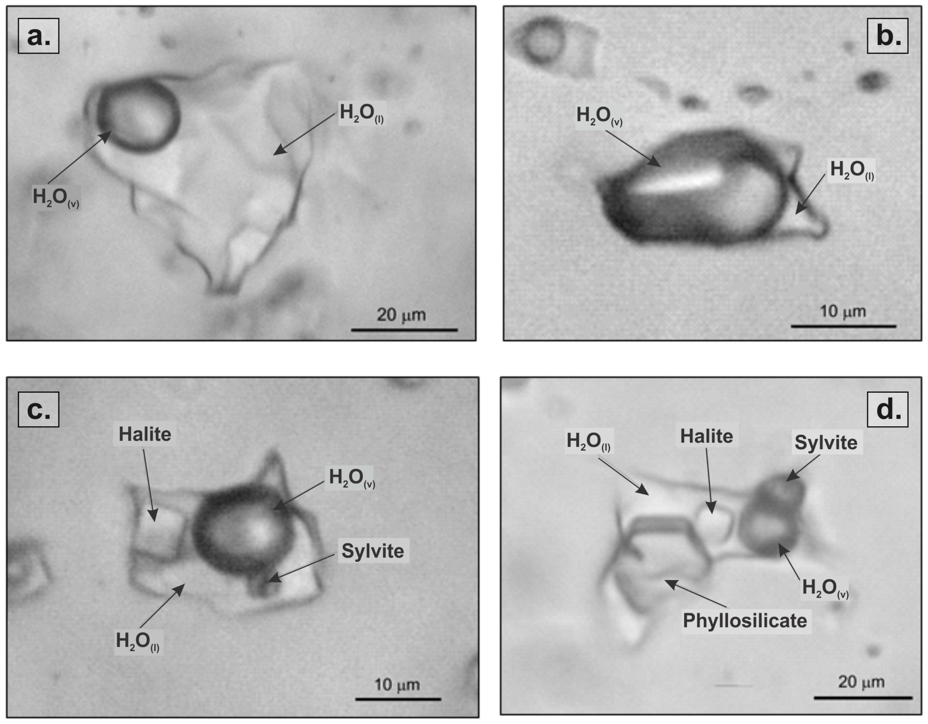 Minerals Free Full Text Physicochemical Conditions Of