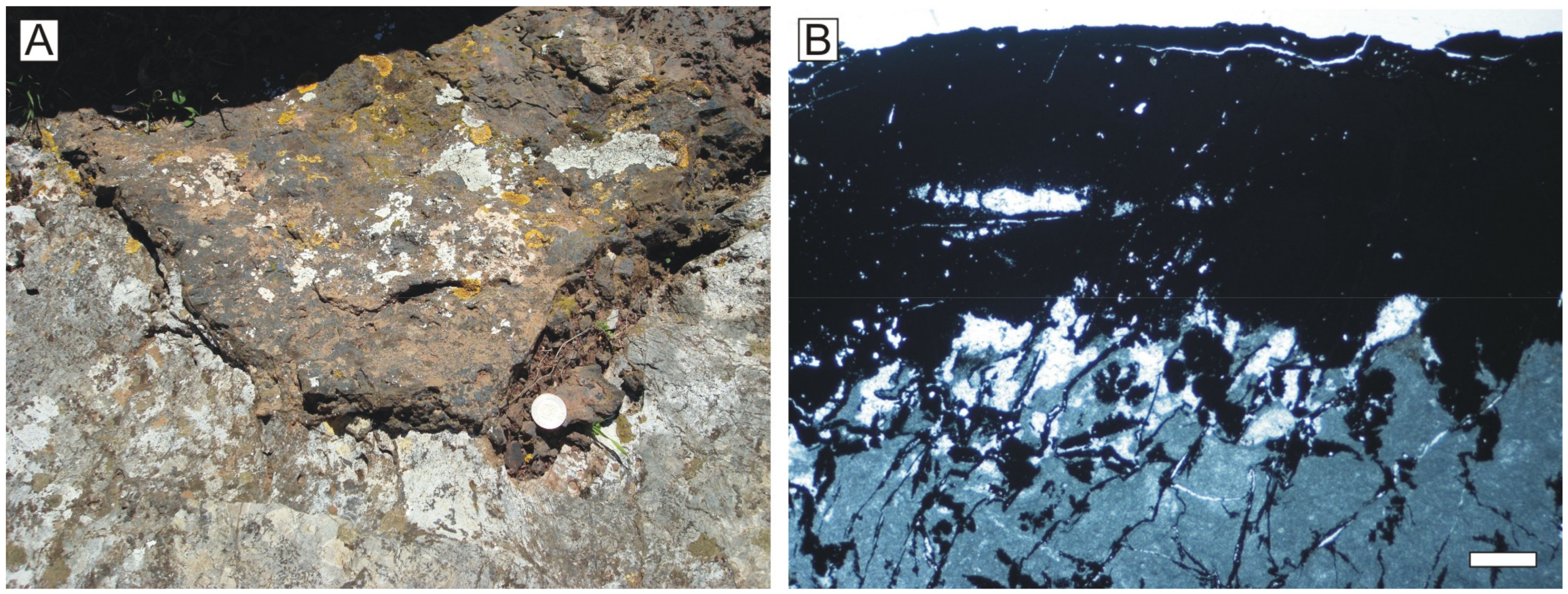 Minerals | Free Full-Text | Jurassic Non-Carbonate Microbialites from the  Betic-Rifian Cordillera (Tethys Western End): Textures, Mineralogy, and  Environmental Reconstruction