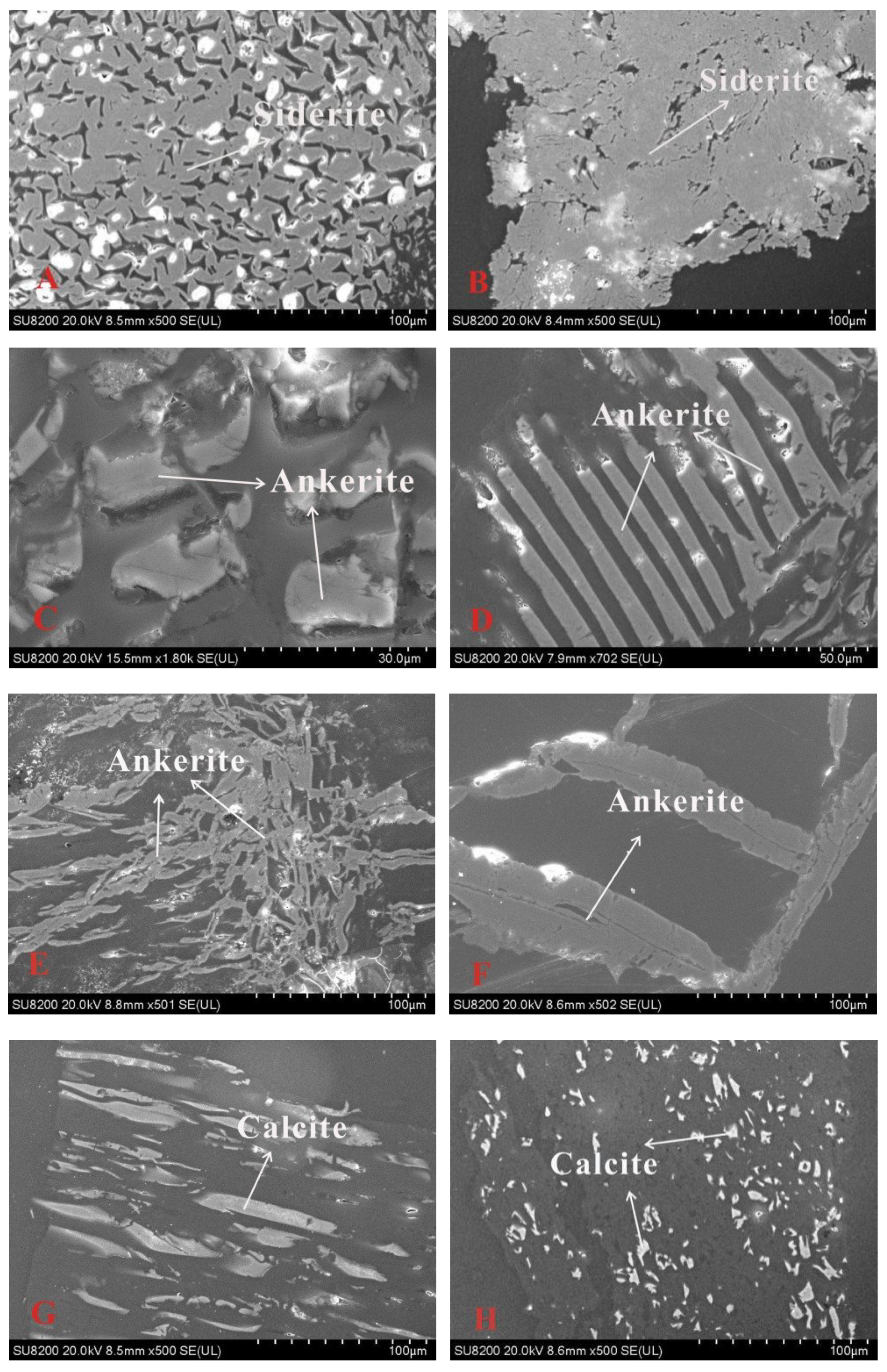 Minerals 09 00184 g009