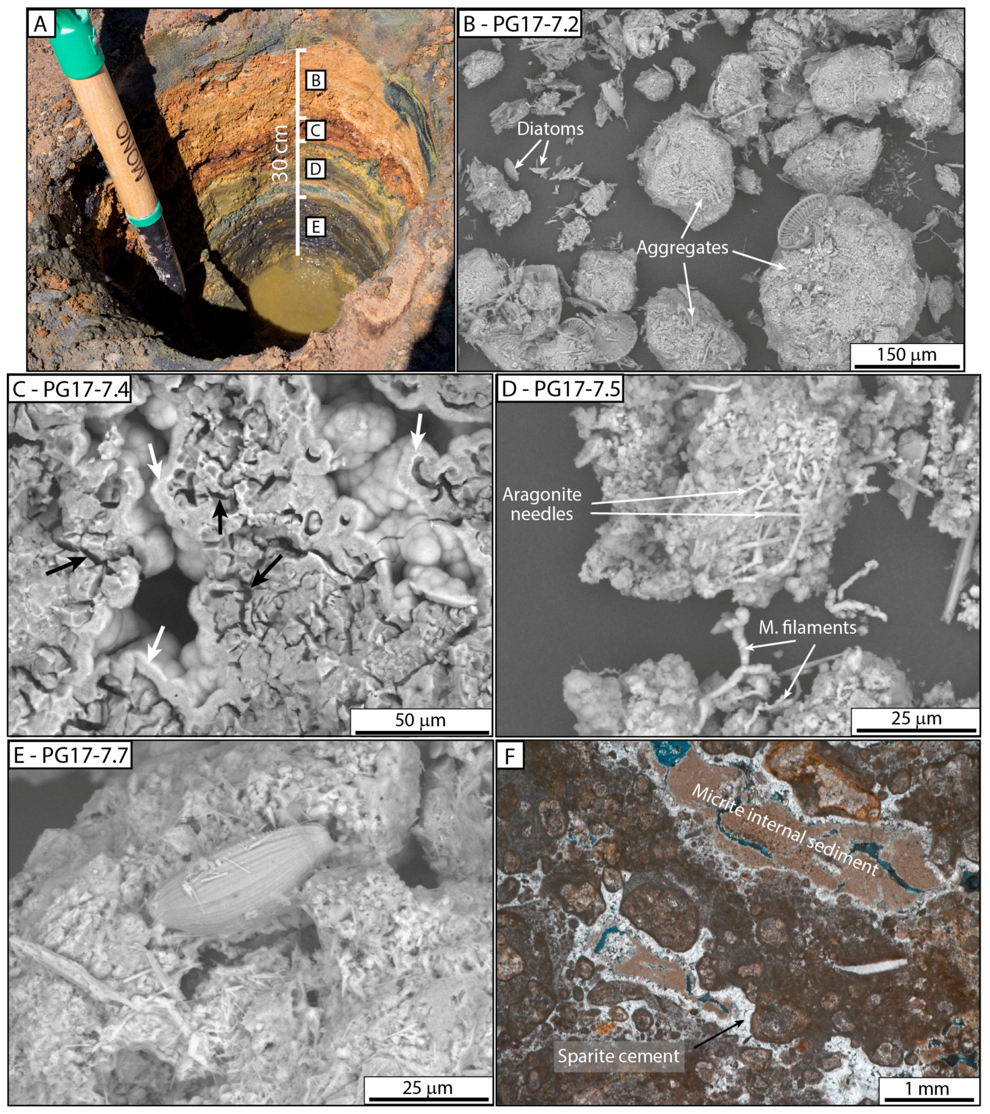 Minerals 09 00380 g006