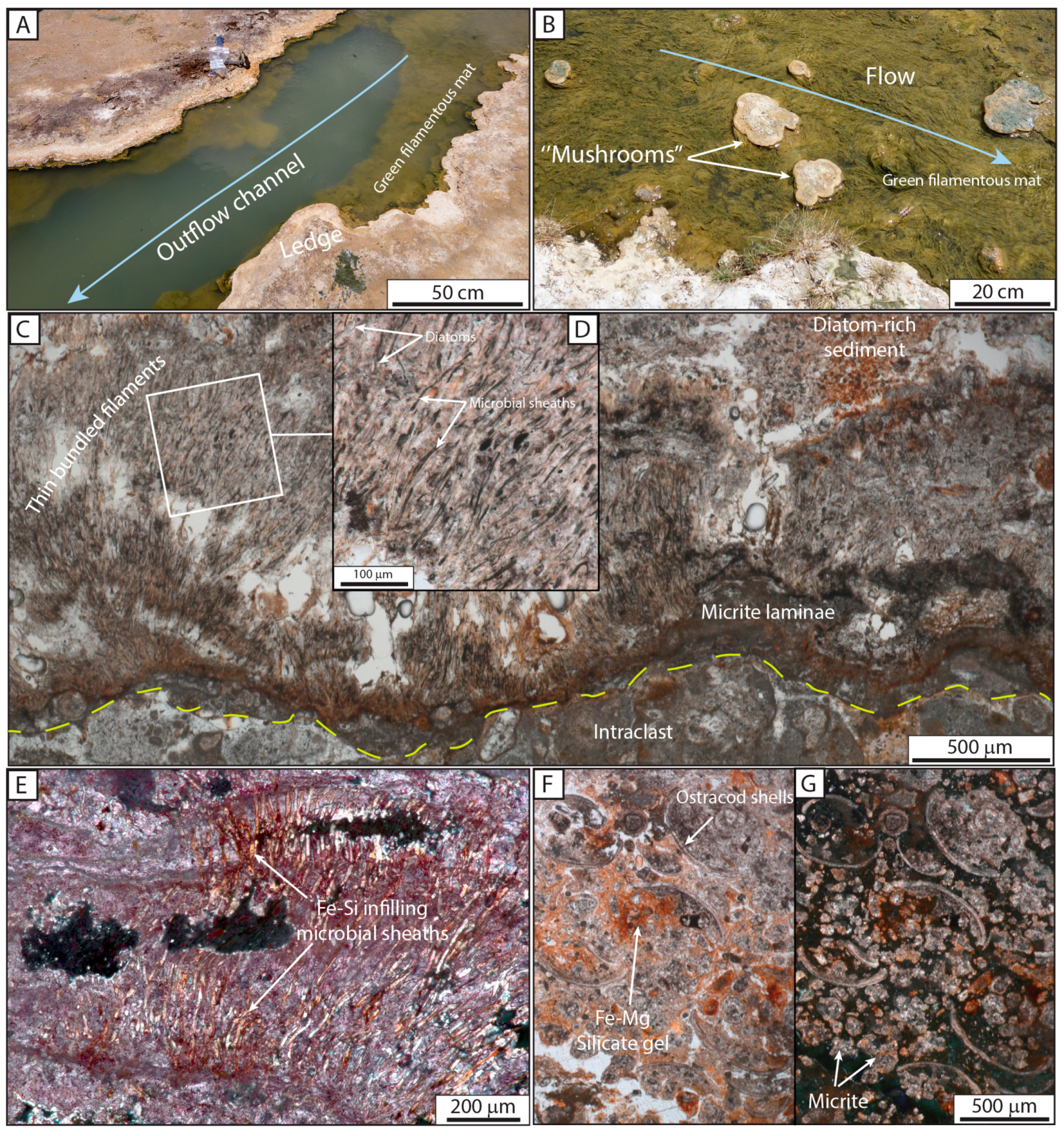 Minerals 09 00380 g009