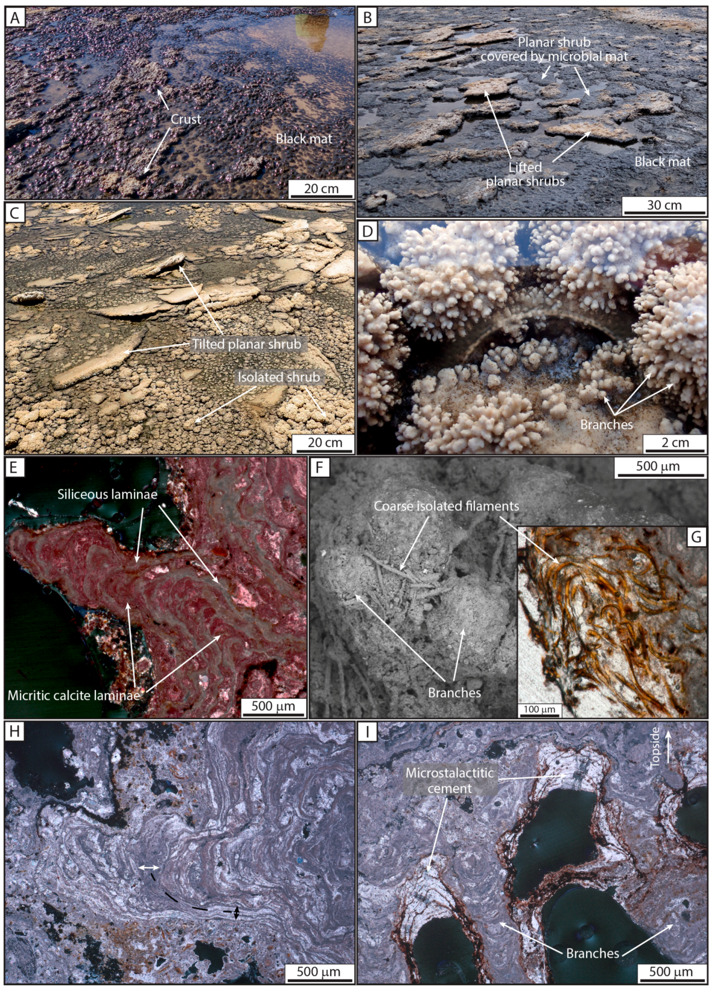 Minerals 09 00380 g012