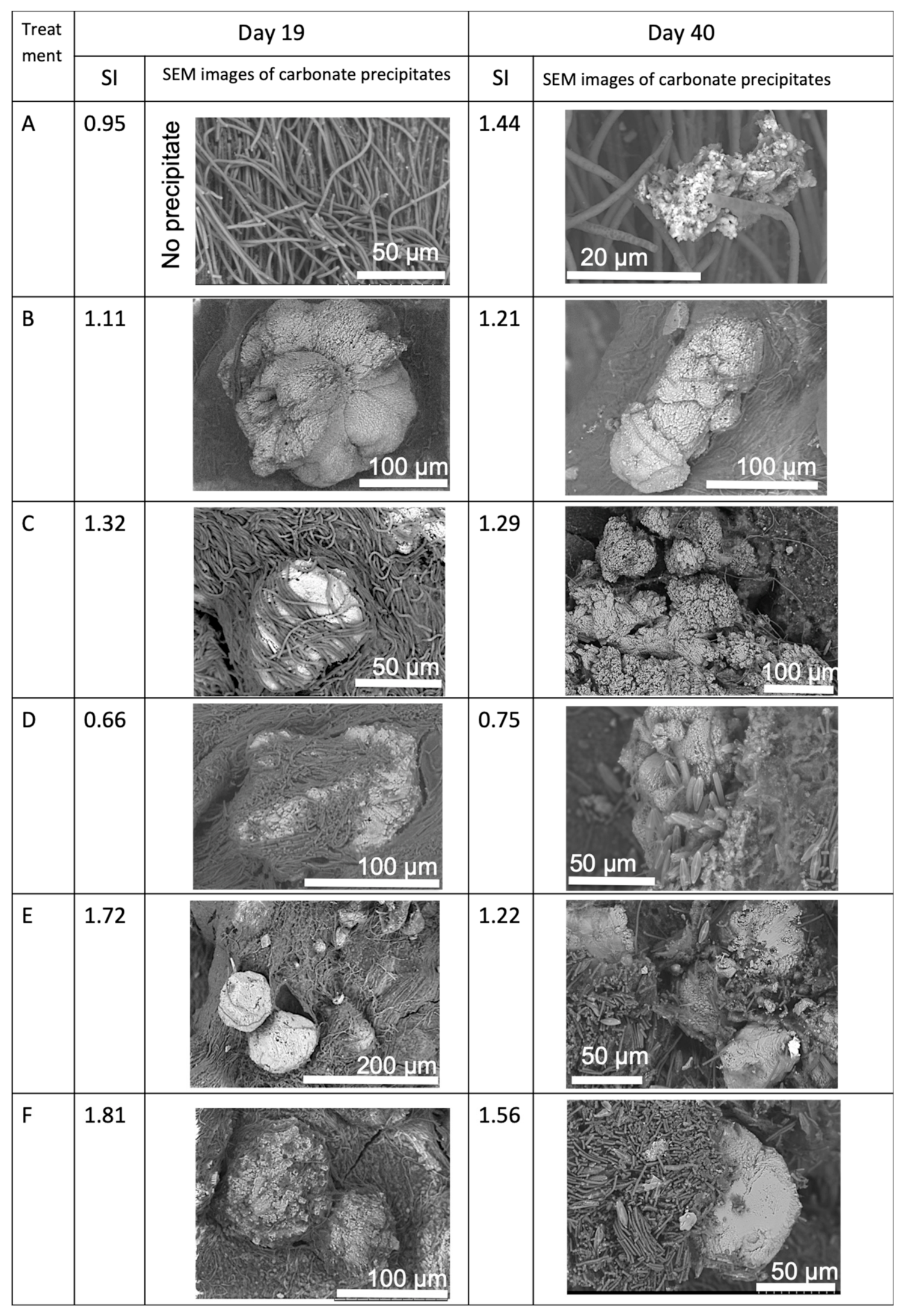 Minerals 09 00409 g004 Minerals 09 00409 g004