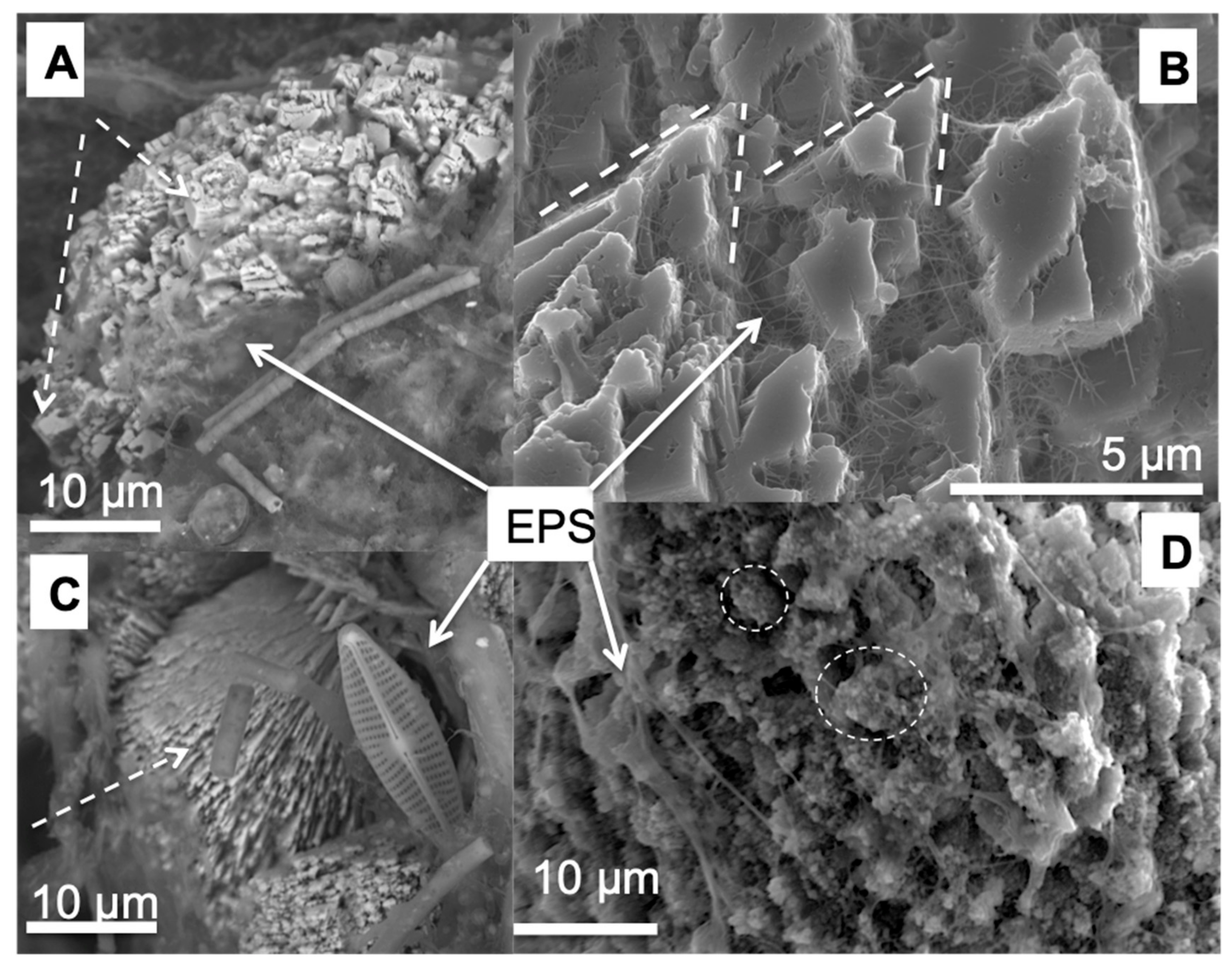 Minerals 09 00409 g005 Minerals 09 00409 g005