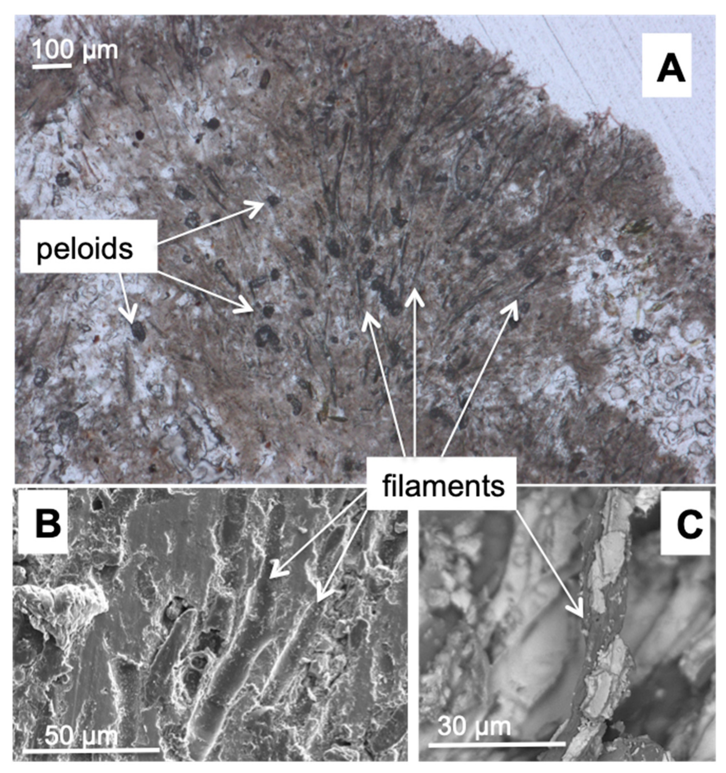 Minerals 09 00409 g008 Minerals 09 00409 g008