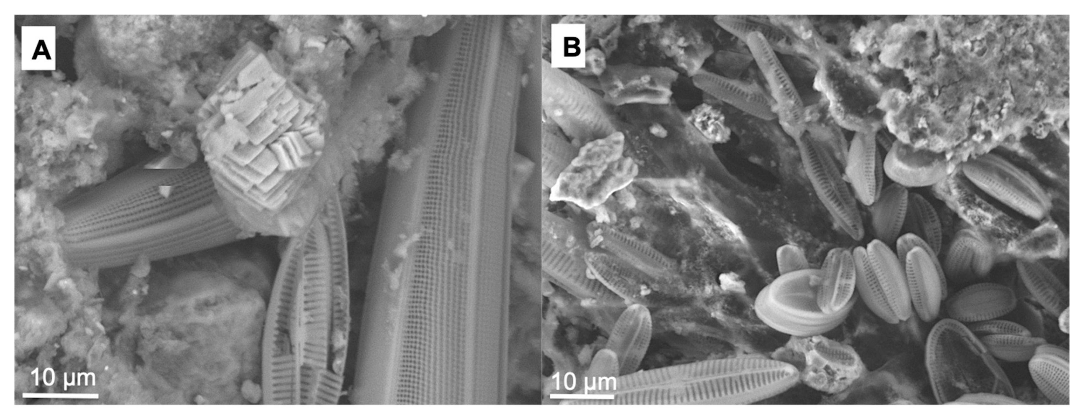 Minerals 09 00409 g011 Minerals 09 00409 g011