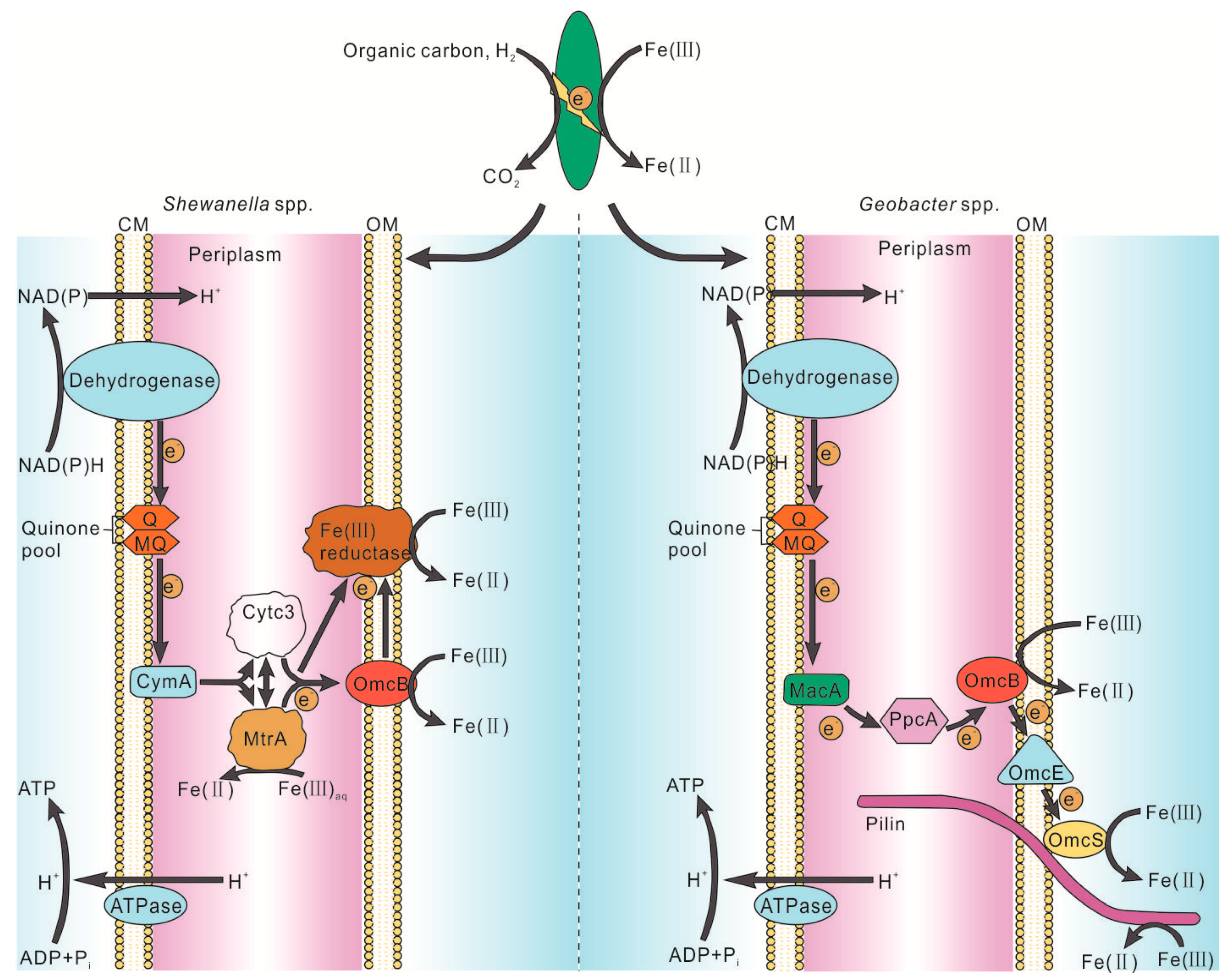 Minerals 09 00413 g003 Minerals 09 00413 g003