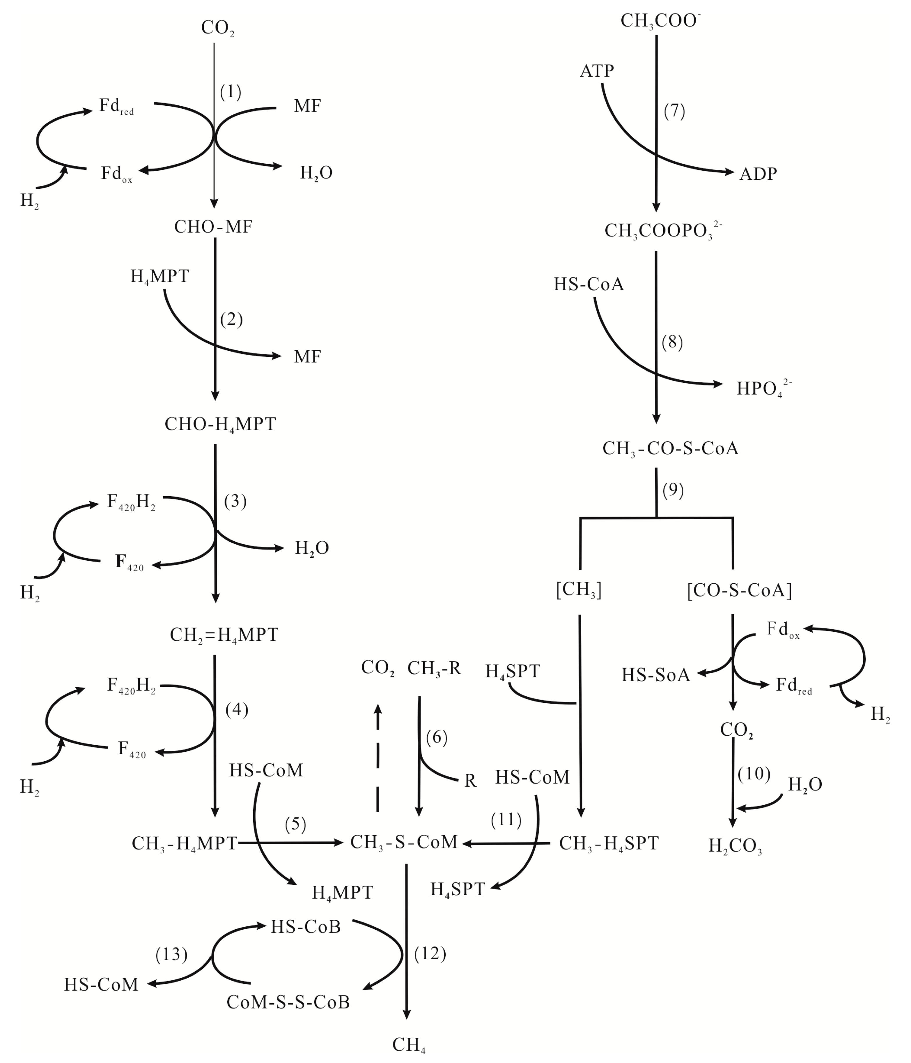 Minerals 09 00413 g006 Minerals 09 00413 g006