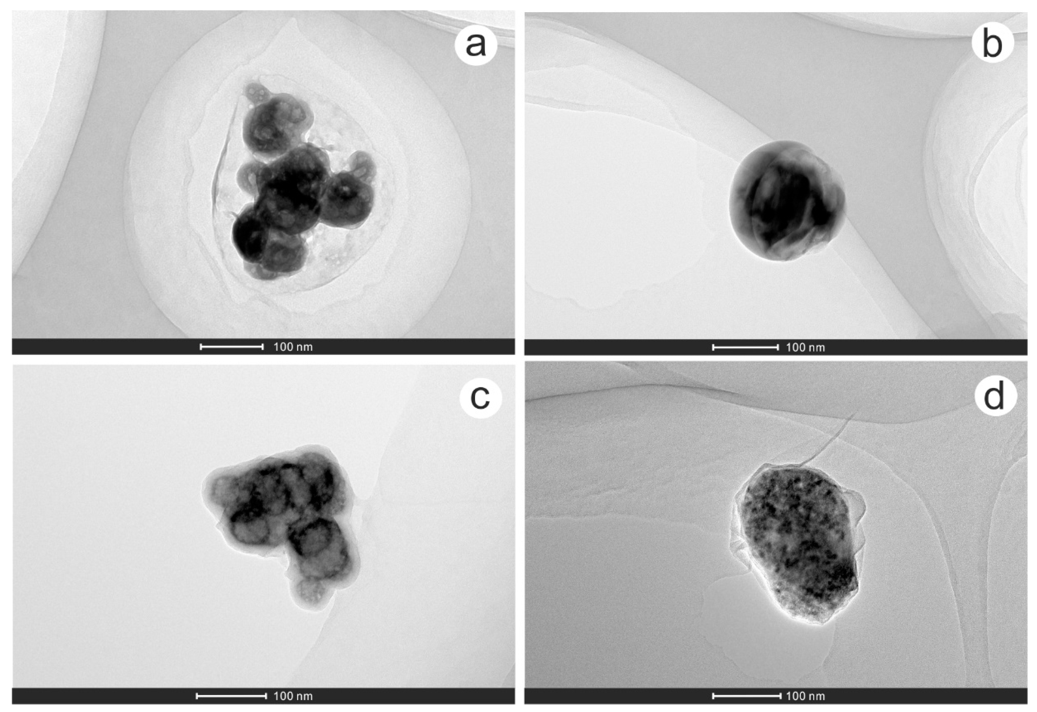 Minerals 09 00414 g005