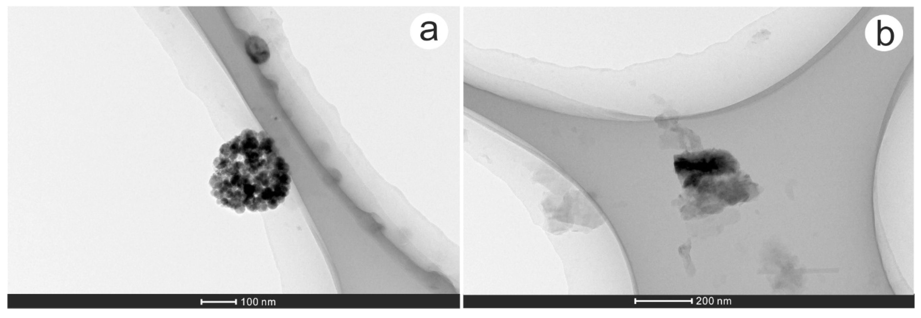 Minerals 09 00414 g008