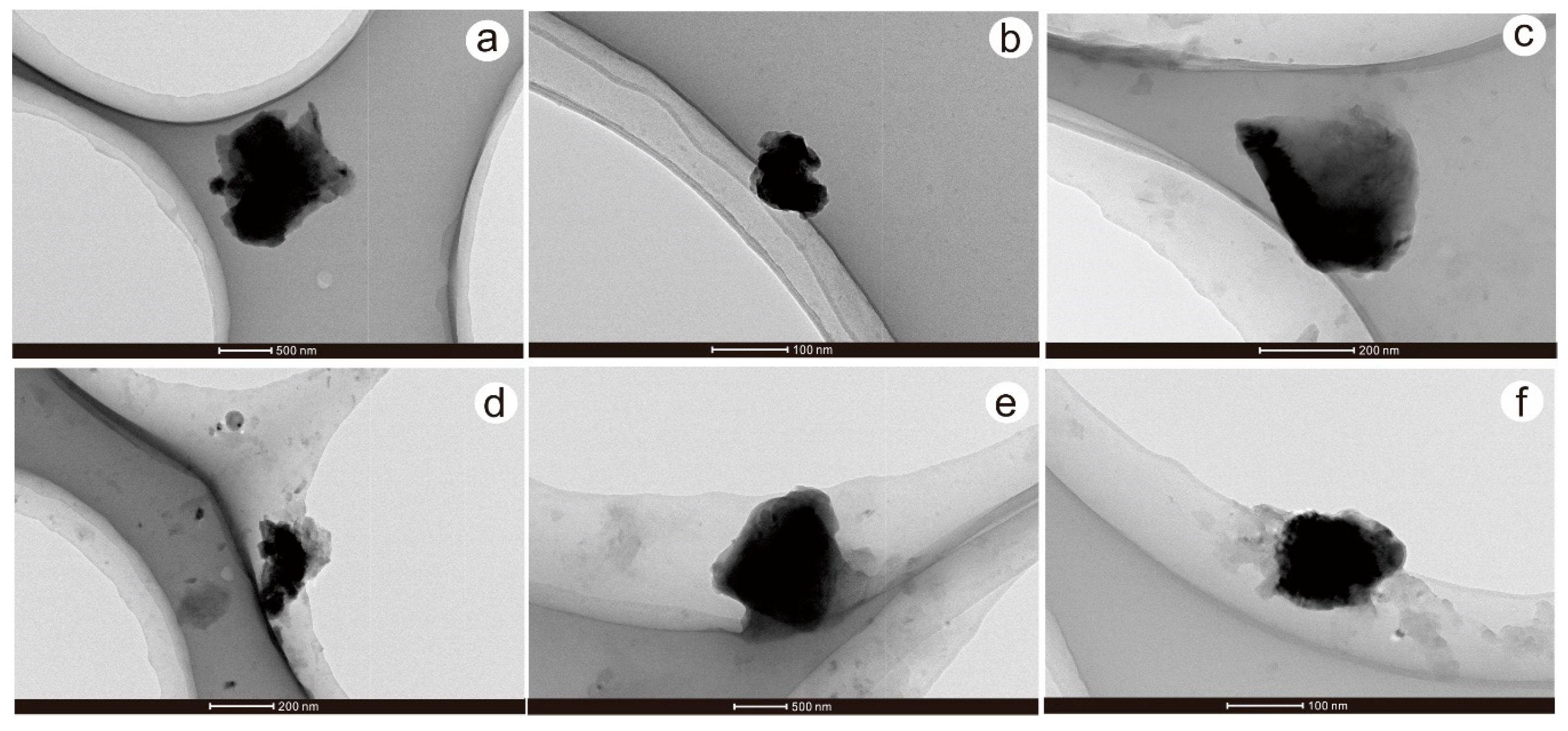 Minerals 09 00414 g010