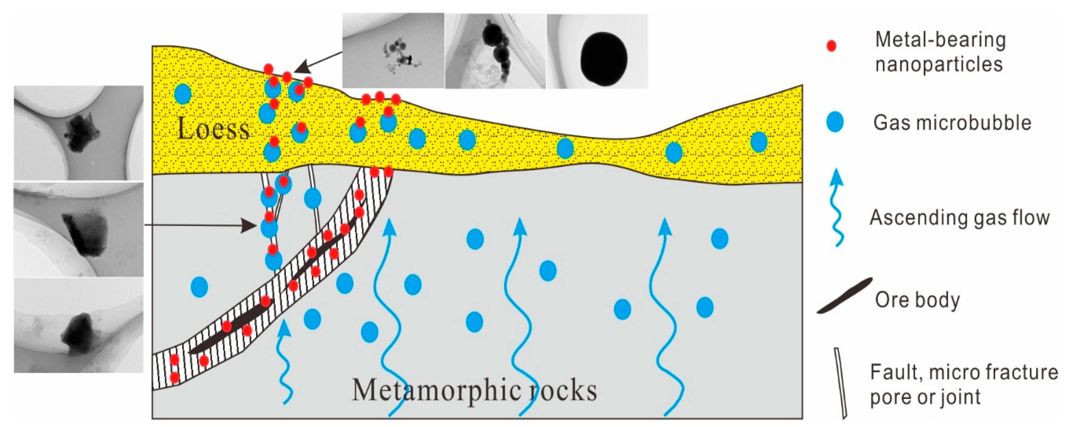 Minerals 09 00414 g012