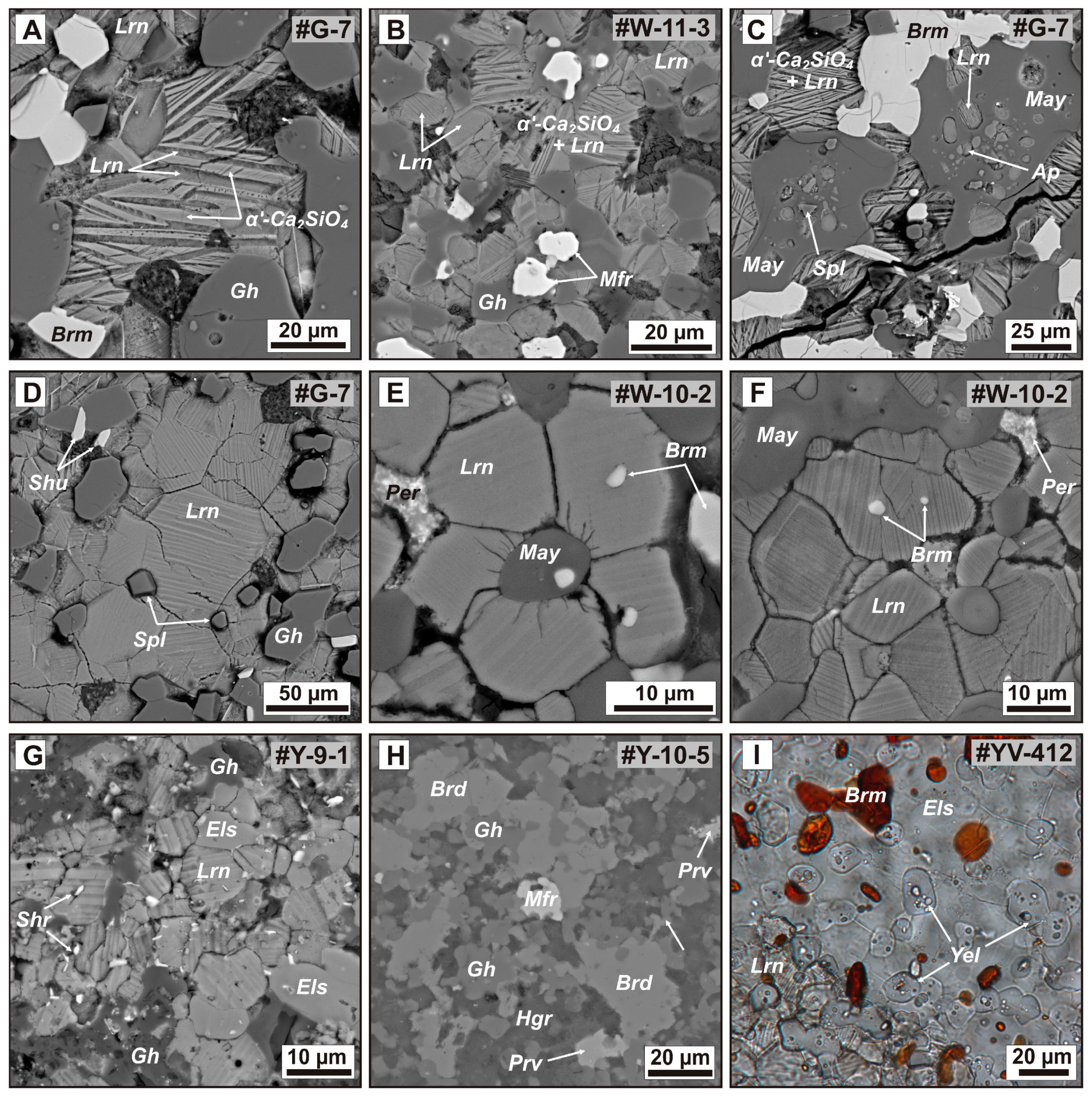 Minerals Free Full Text Mineralogical Diversity Of Ca2sio4 Bearing Combustion Metamorphic Rocks In The Hatrurim Basin Implications For Storage And Partitioning Of Elements In Oil Shale Clinkering Html