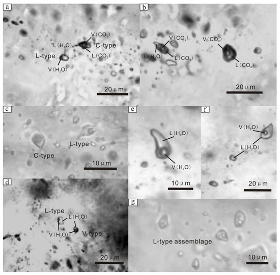 Minerals | Special Issue : Fluid Inclusion Characteristic of the Gold ...