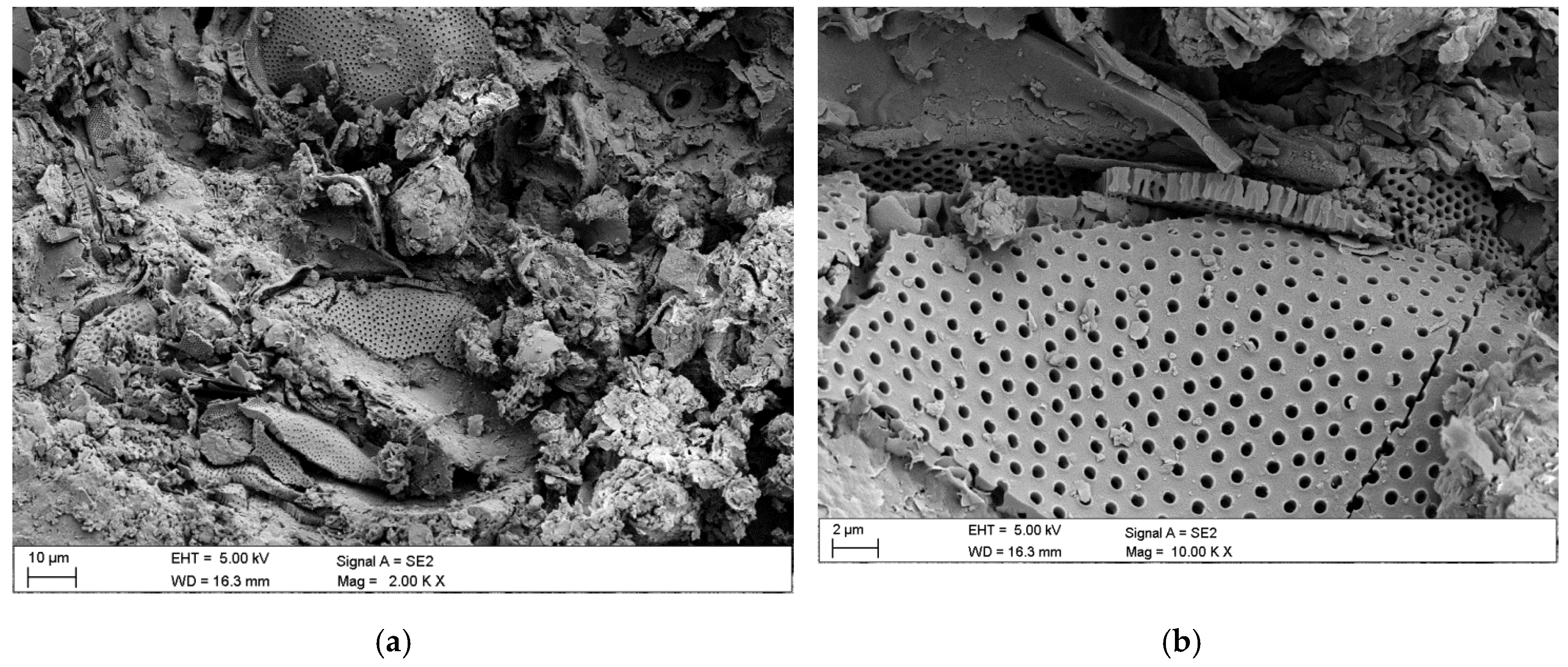 Minerals Free Full Text Characterization Of Diatomaceous Earth And Halloysite Resources Of Poland Html