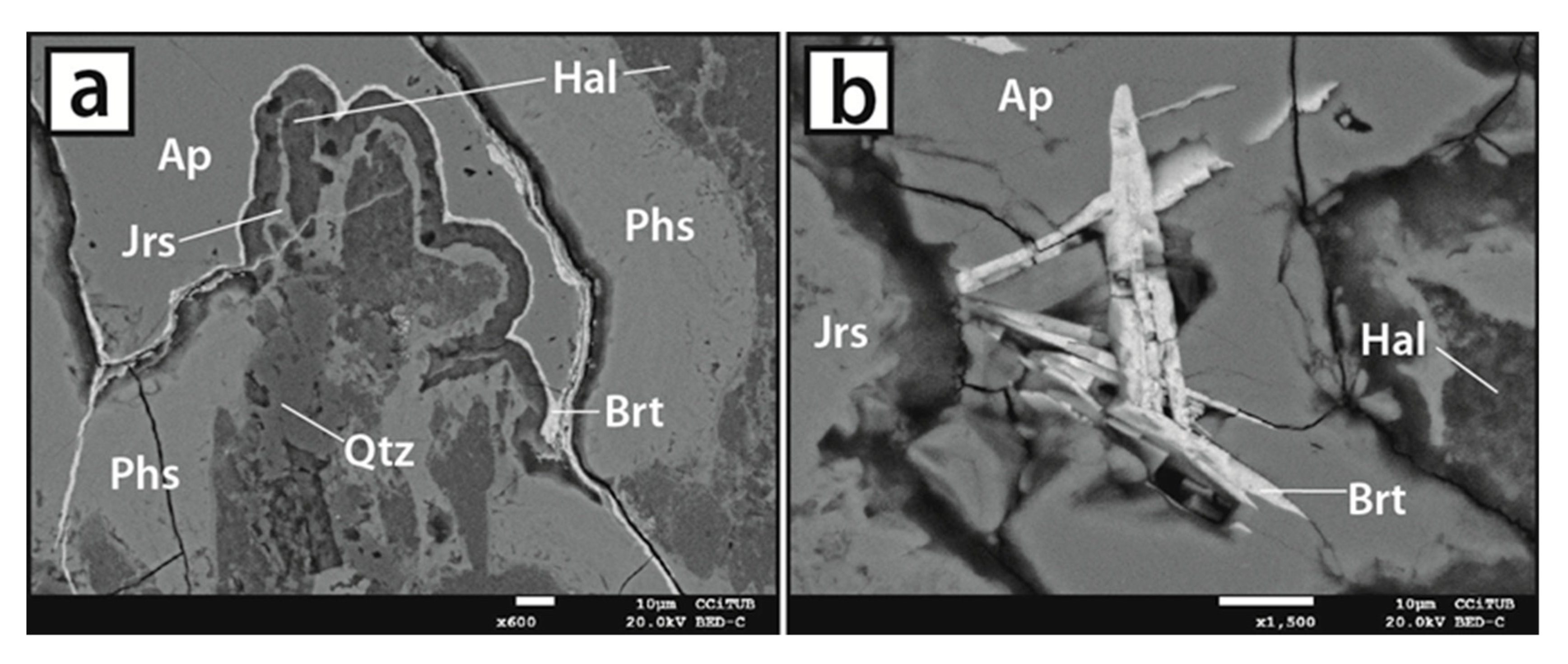 Minerals Free Full Text Critical Elements In Supergene