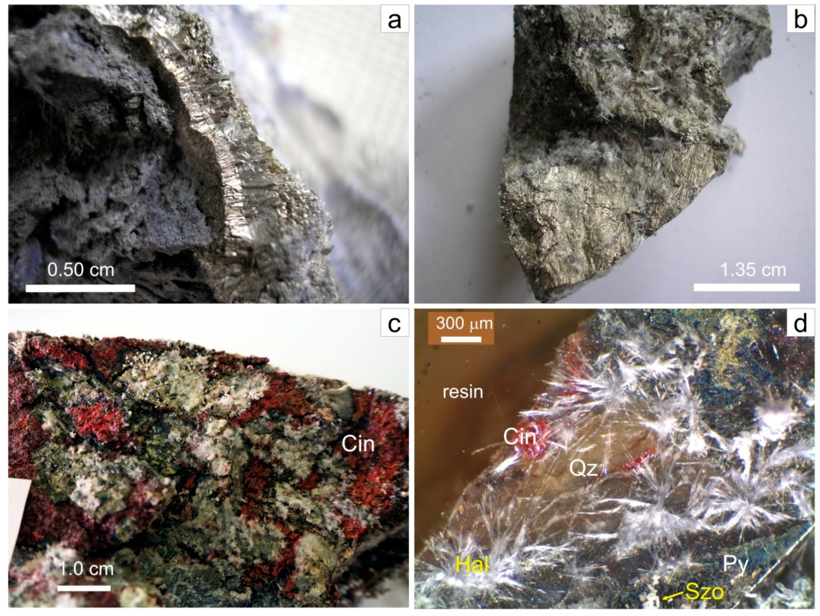 Minerals | Free Full-Text | Efflorescent Sulfate Crystallization on  Fractured and Polished Colloform Pyrite Surfaces: A Migration Pathway of  Trace Elements