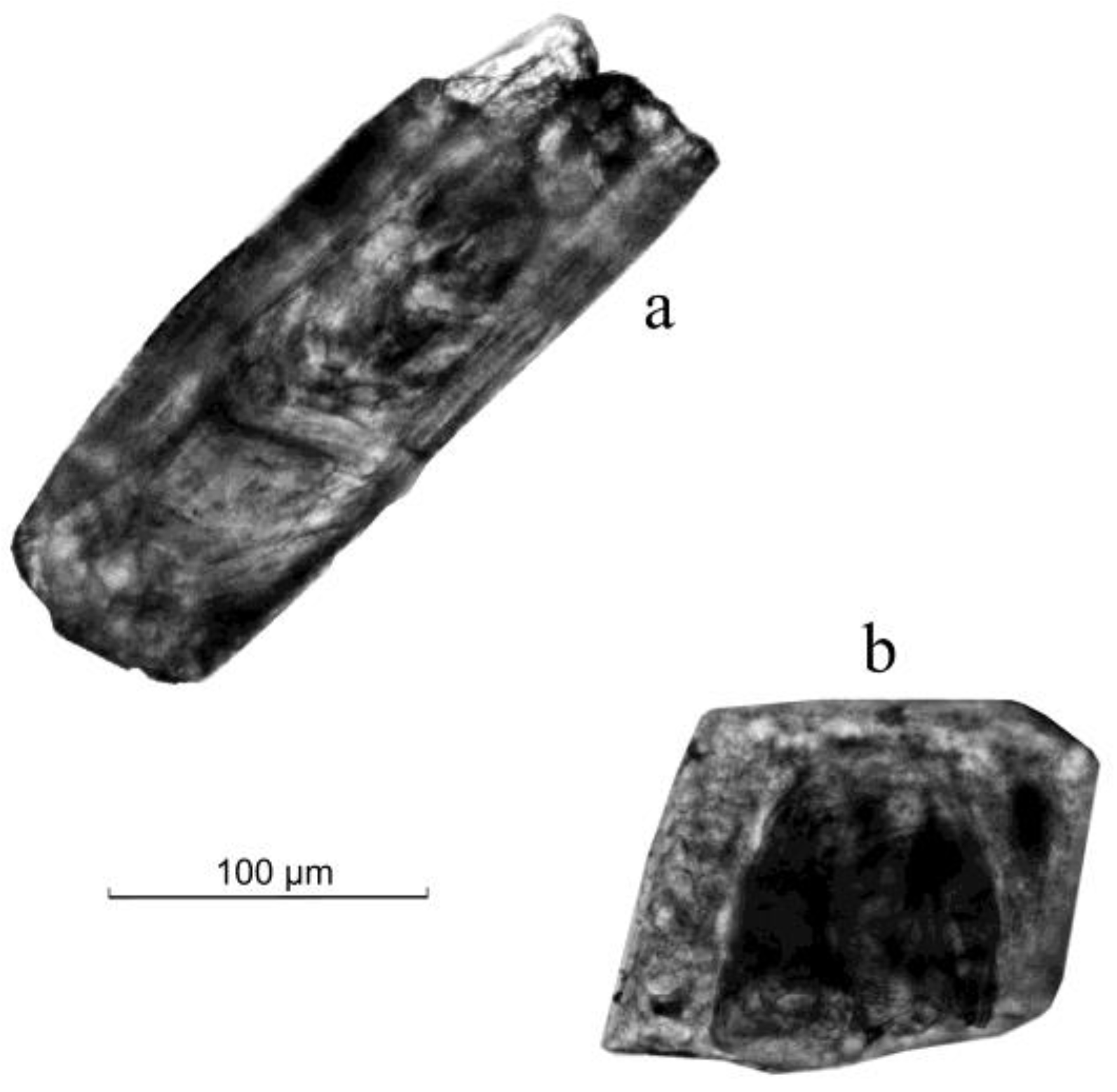 Minerals 10 00186 g005 Minerals 10 00186 g005