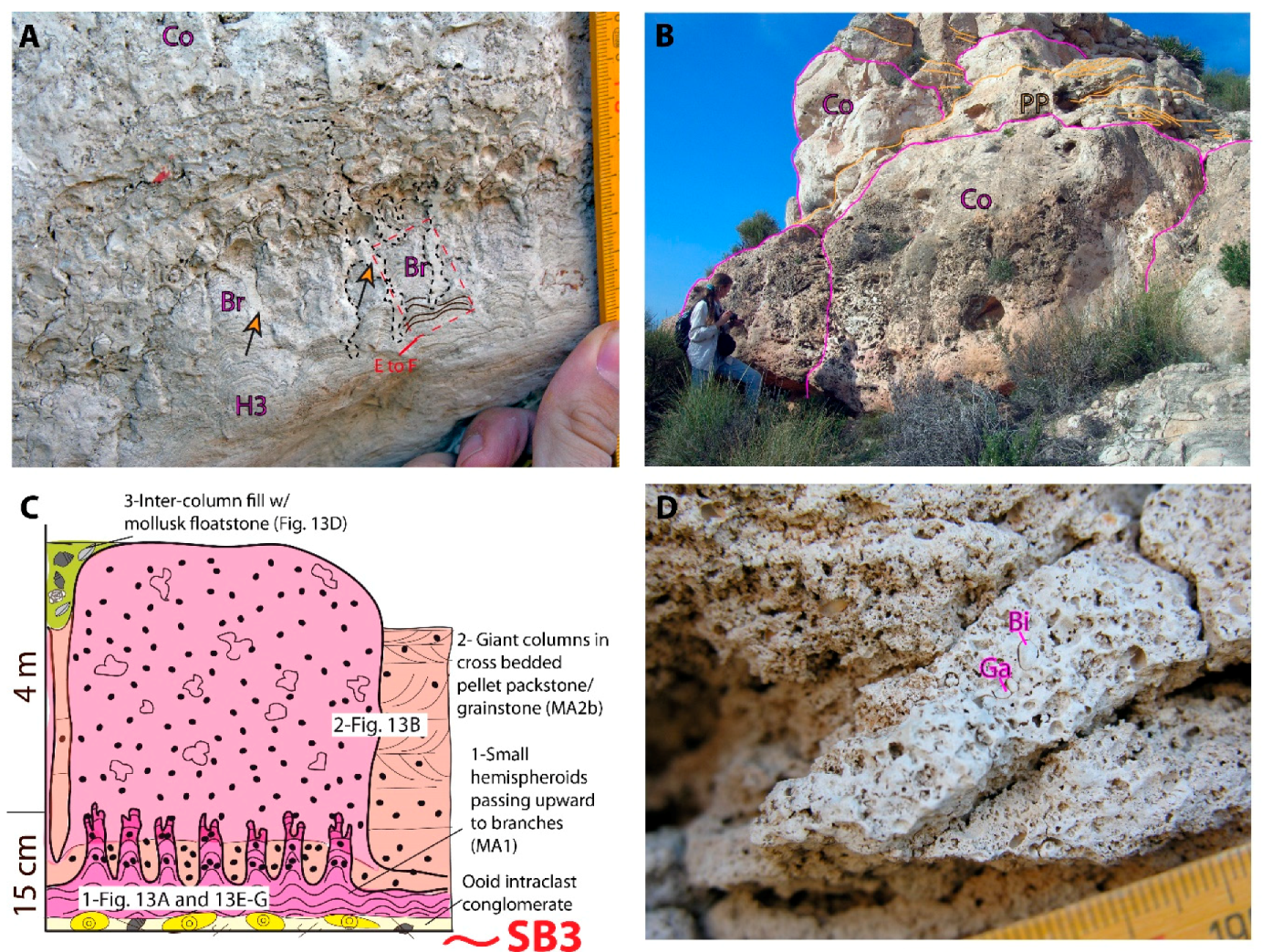 Minerals 10 00276 g013a Minerals 10 00276 g013a