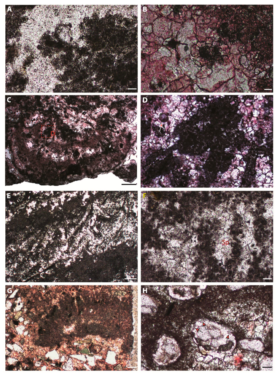 Minerals 10 00276 g014 Minerals 10 00276 g014