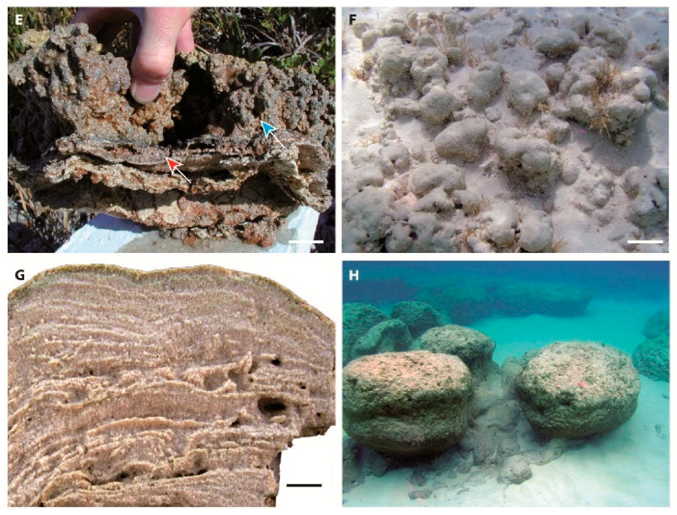 Minerals 10 00276 g018b Minerals 10 00276 g018b