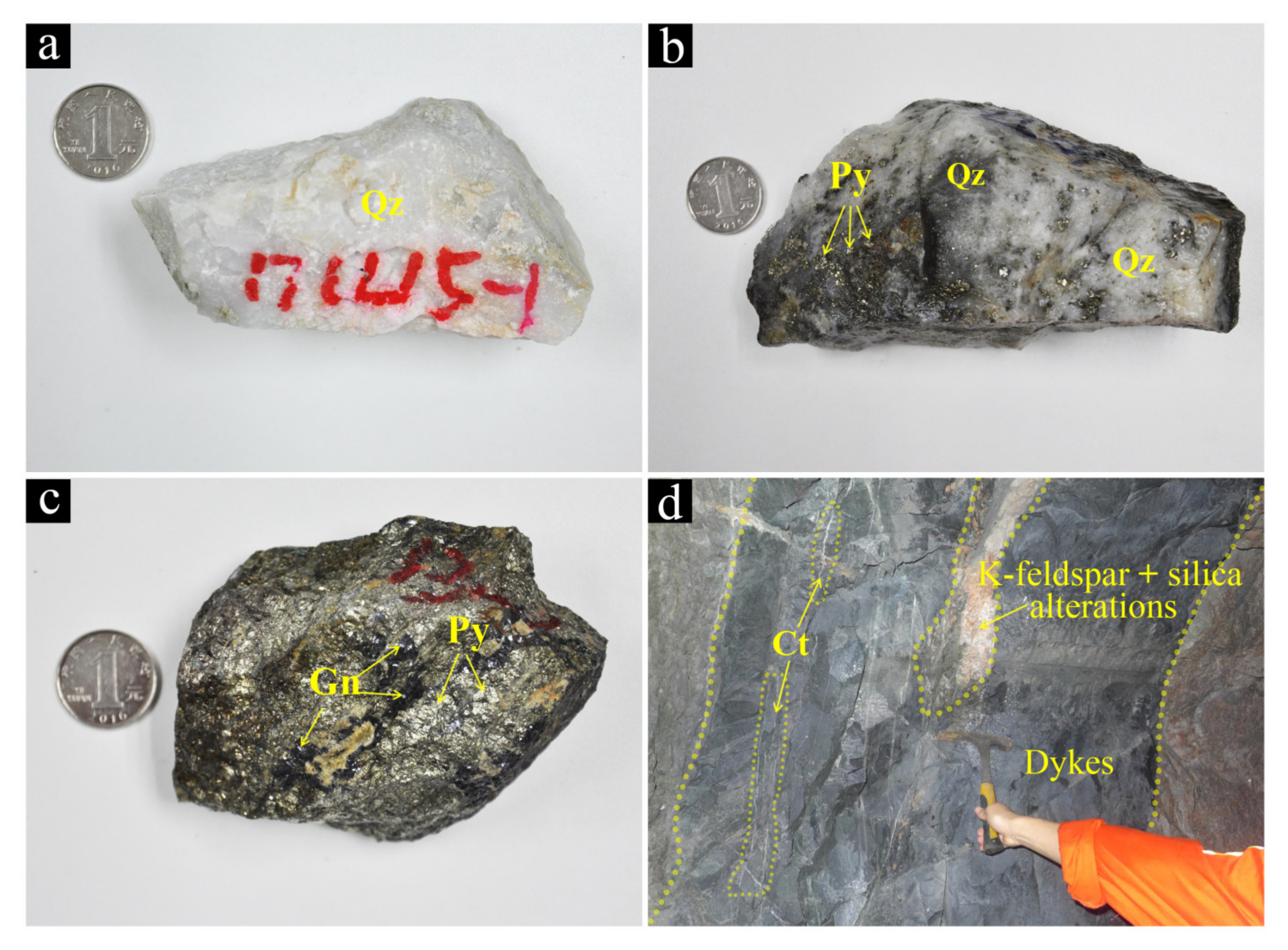 Minerals Free Full Text Auriferous Quartz Veining Due to CO2