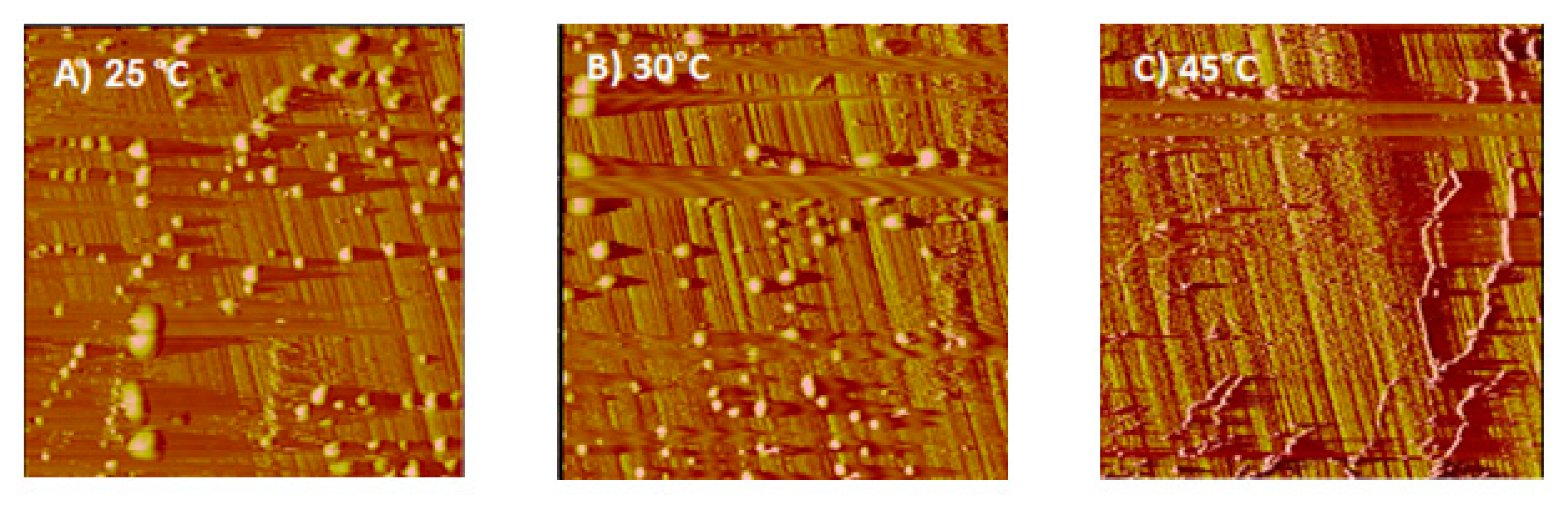 Minerals 10 00426 g005