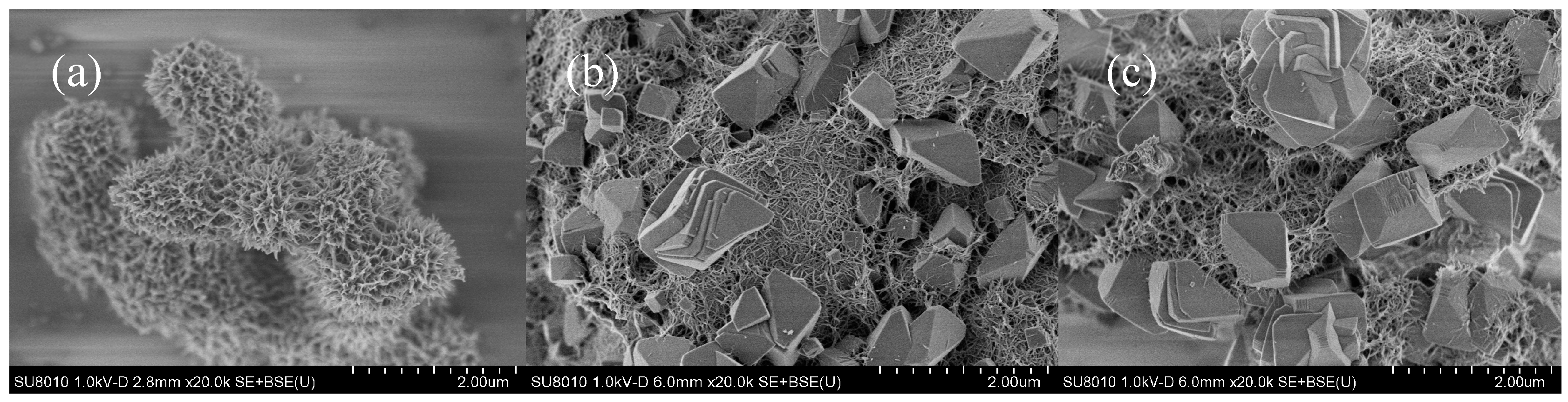 Minerals 10 00518 g007