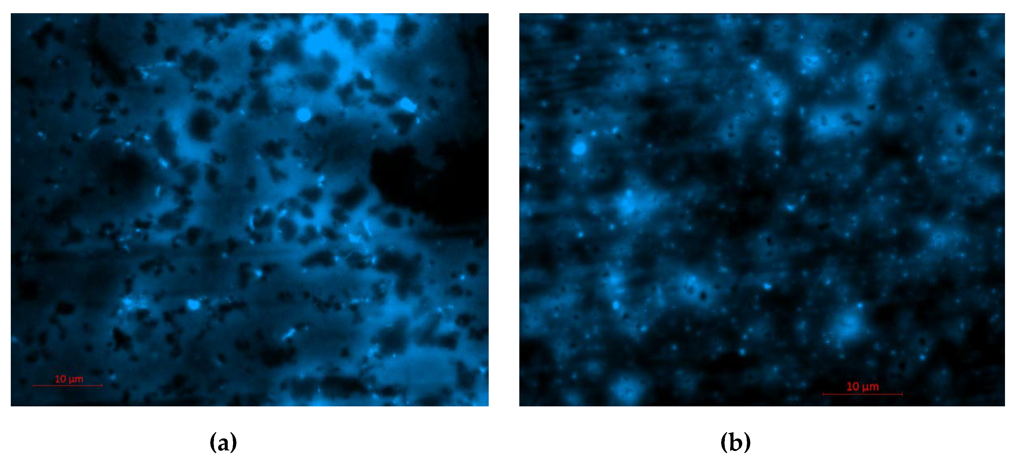 Minerals 10 00533 g001
