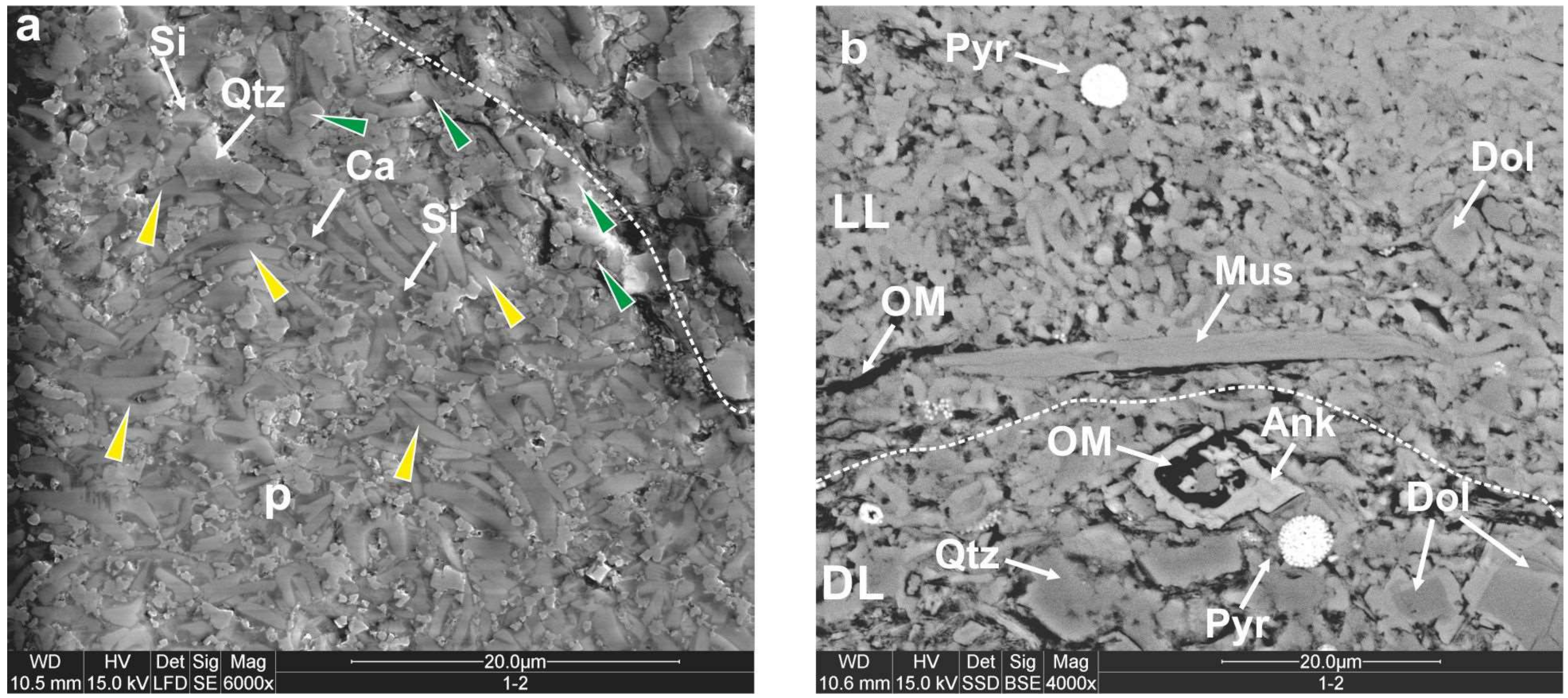 Minerals 10 00616 g009