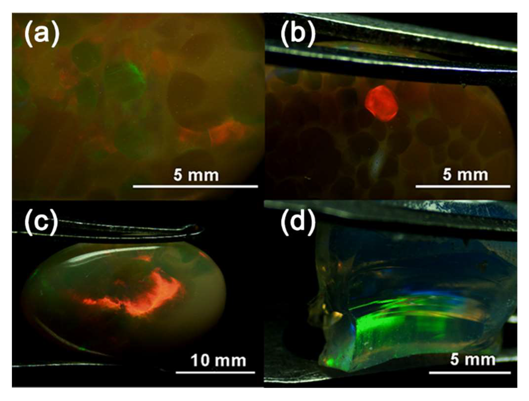 Minerals 10 00625 g006