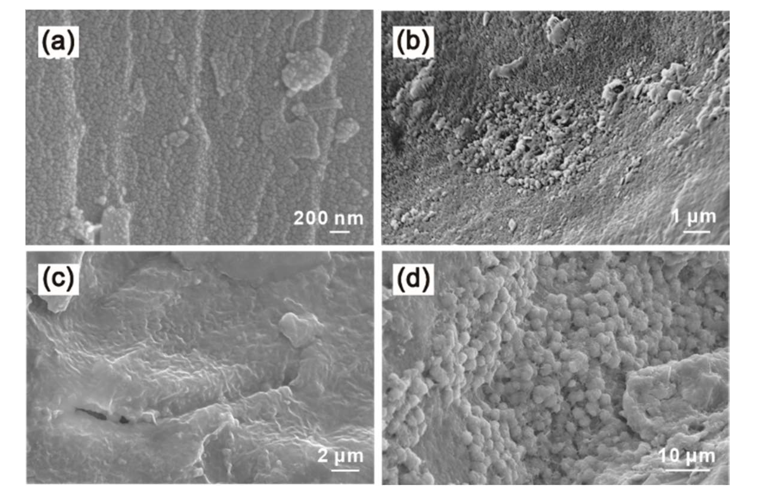Minerals 10 00625 g011