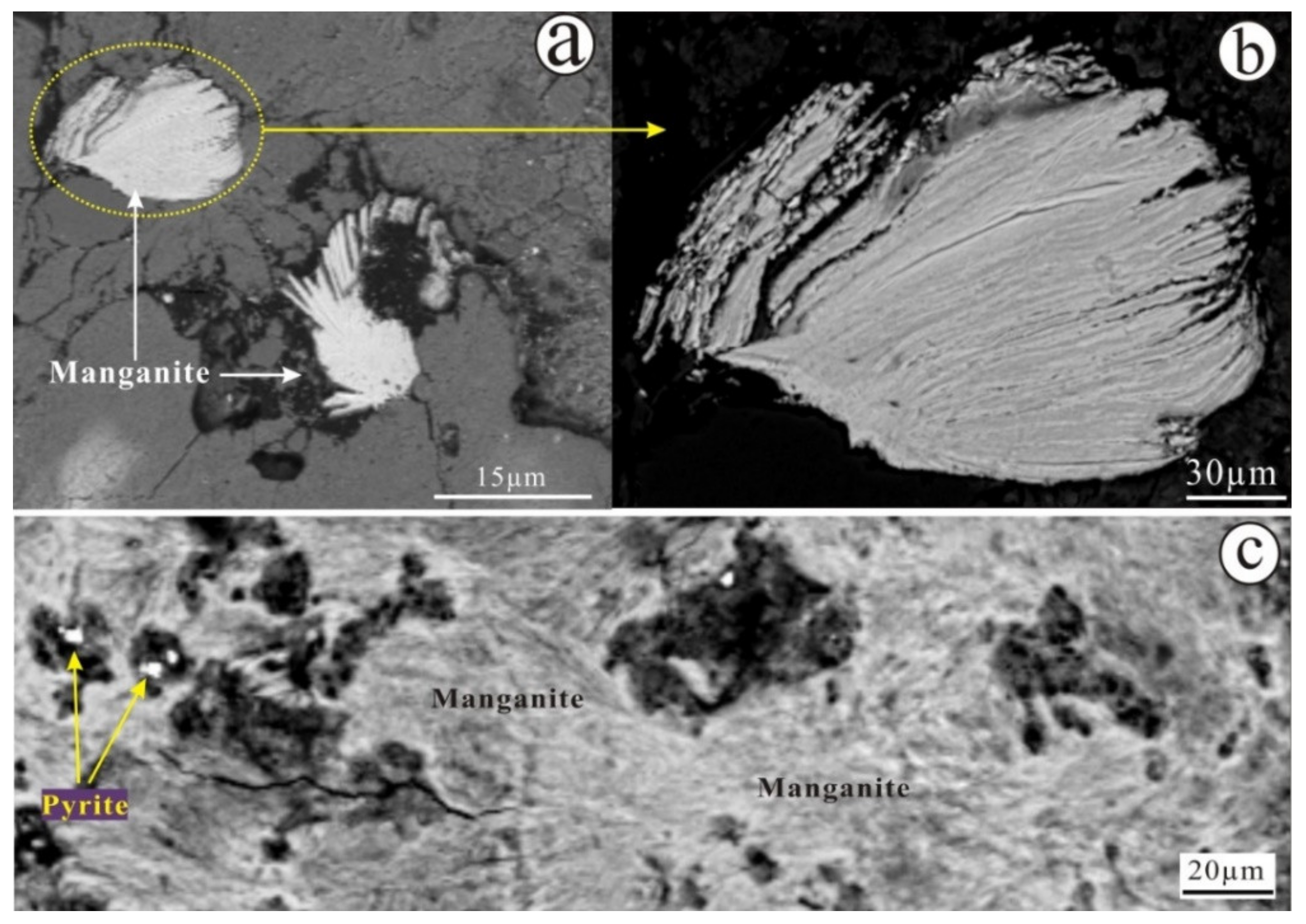 Minerals 10 00650 g007 Minerals 10 00650 g007
