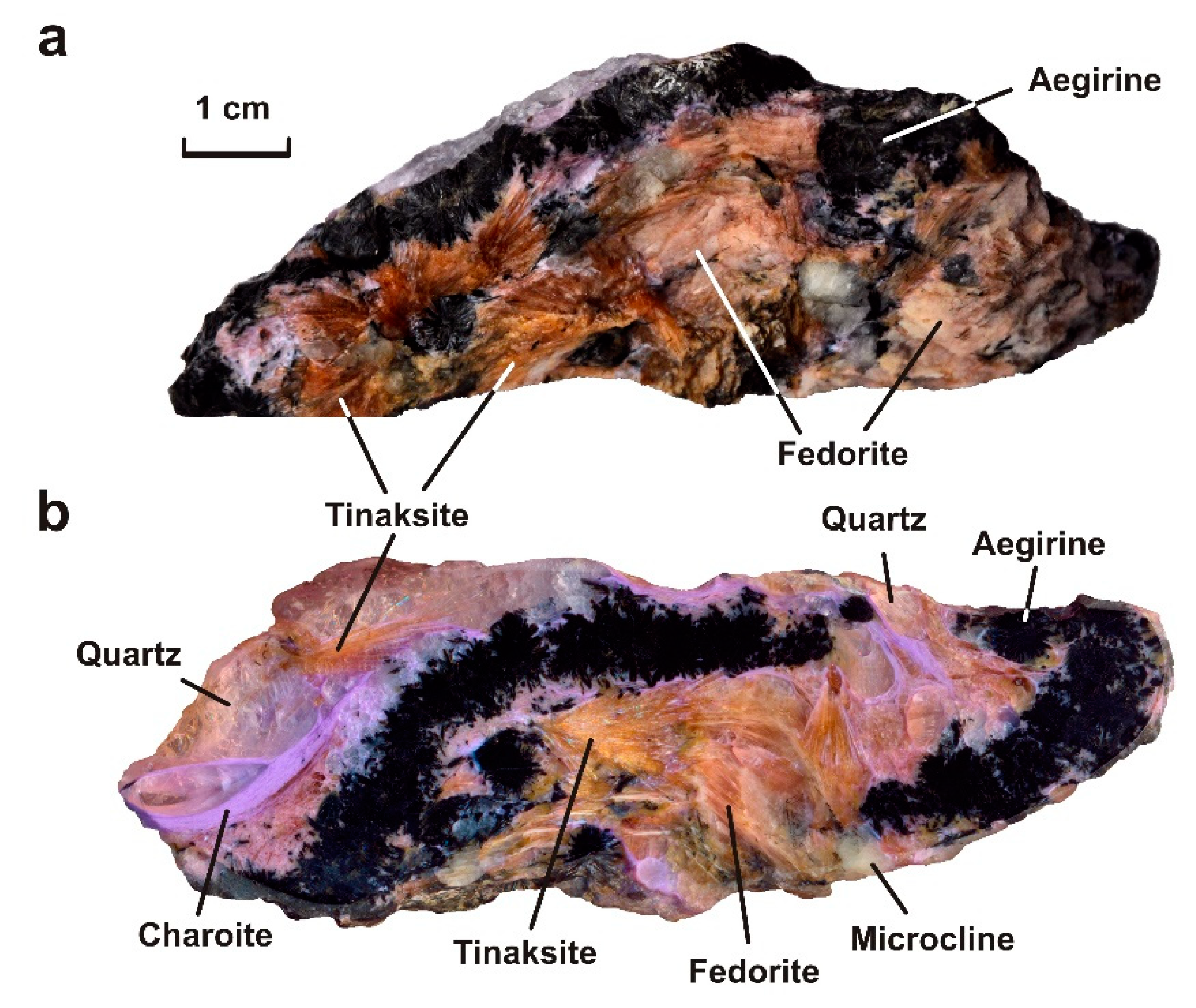 Minerals 10 00702 g005 Minerals 10 00702 g005