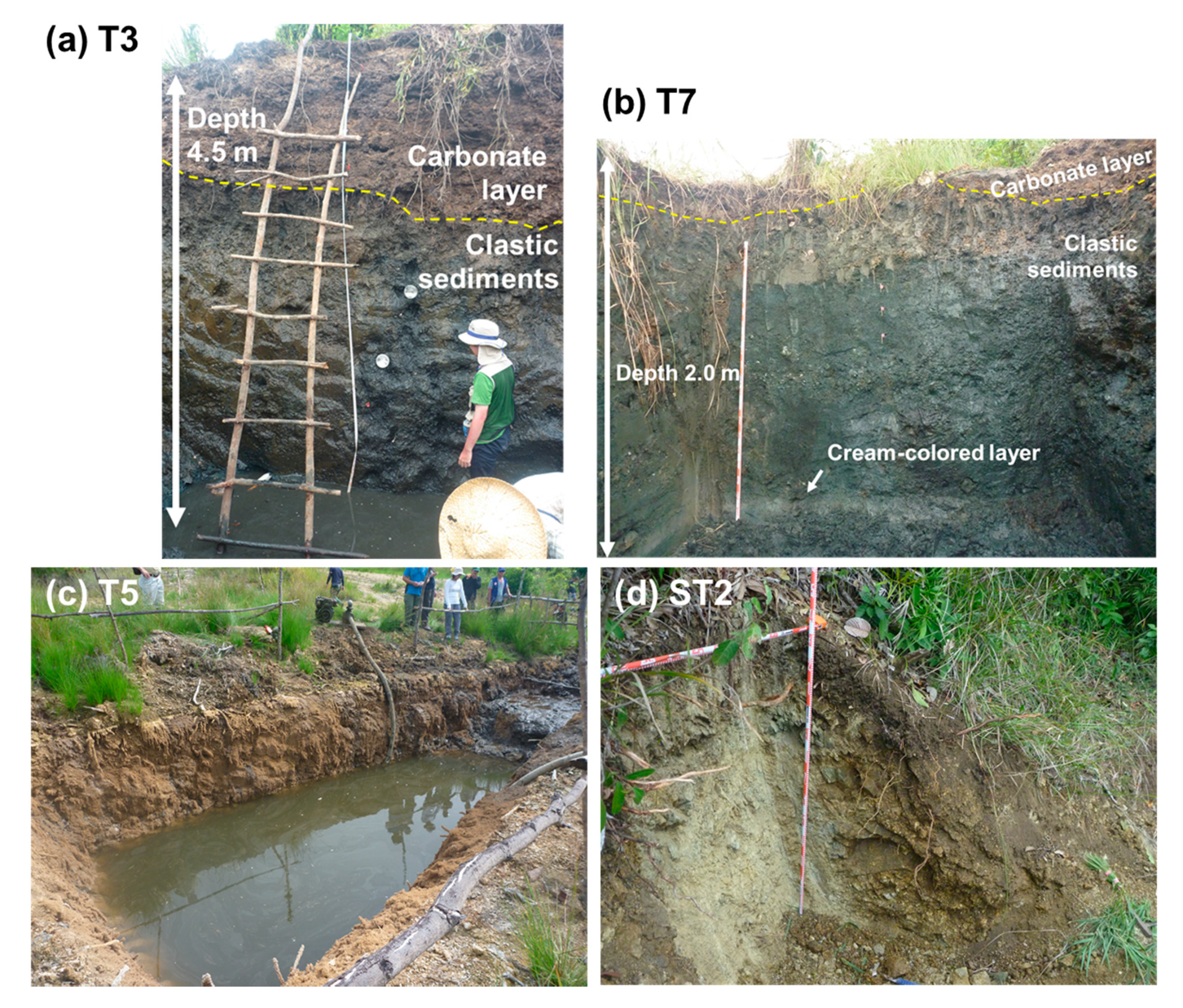 Minerals 10 00719 g002 Minerals 10 00719 g002