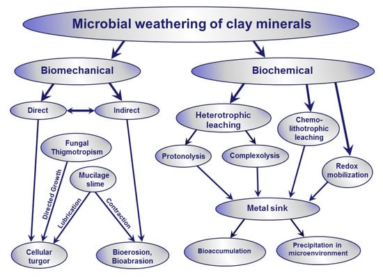 Minerals, Free Full-Text